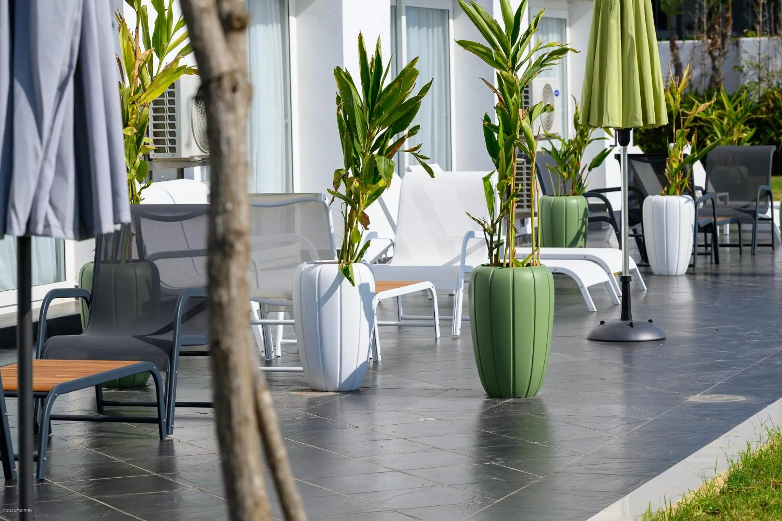 Patio in PLAYA DEL PACHA Suites Hotel