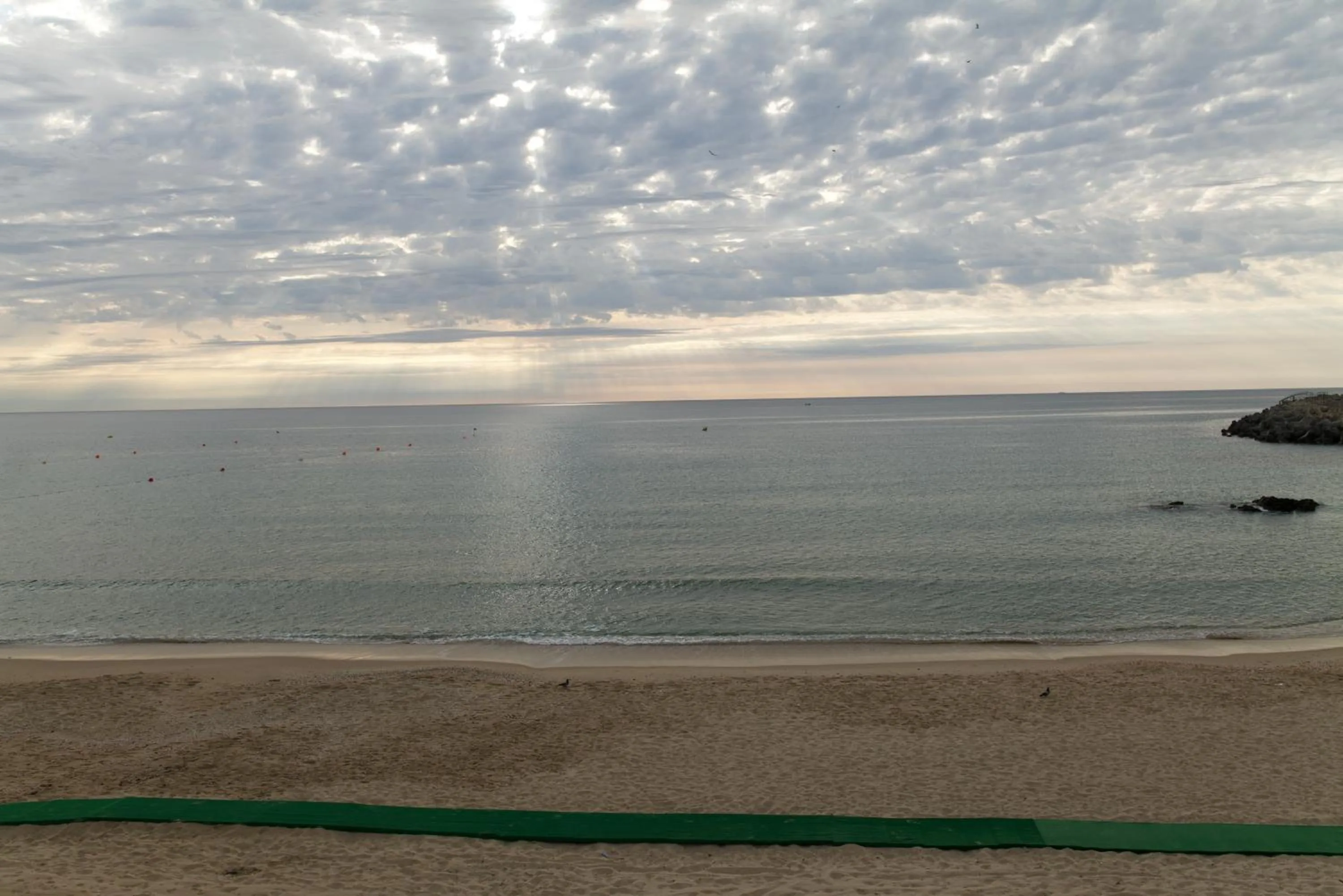 Beach in PLAYA DEL PACHA Suites Hotel