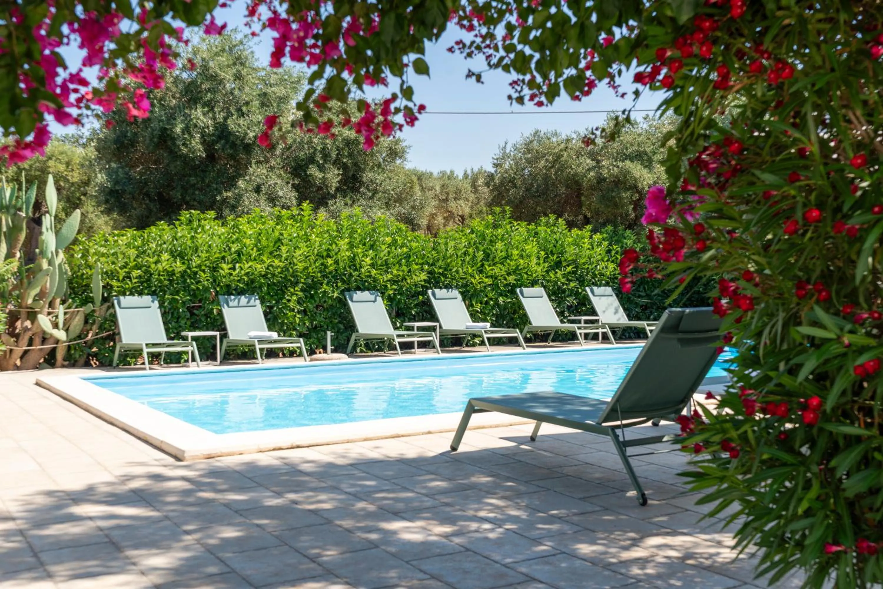 Pool view in Masseria San Nicola Savelletri - B&B