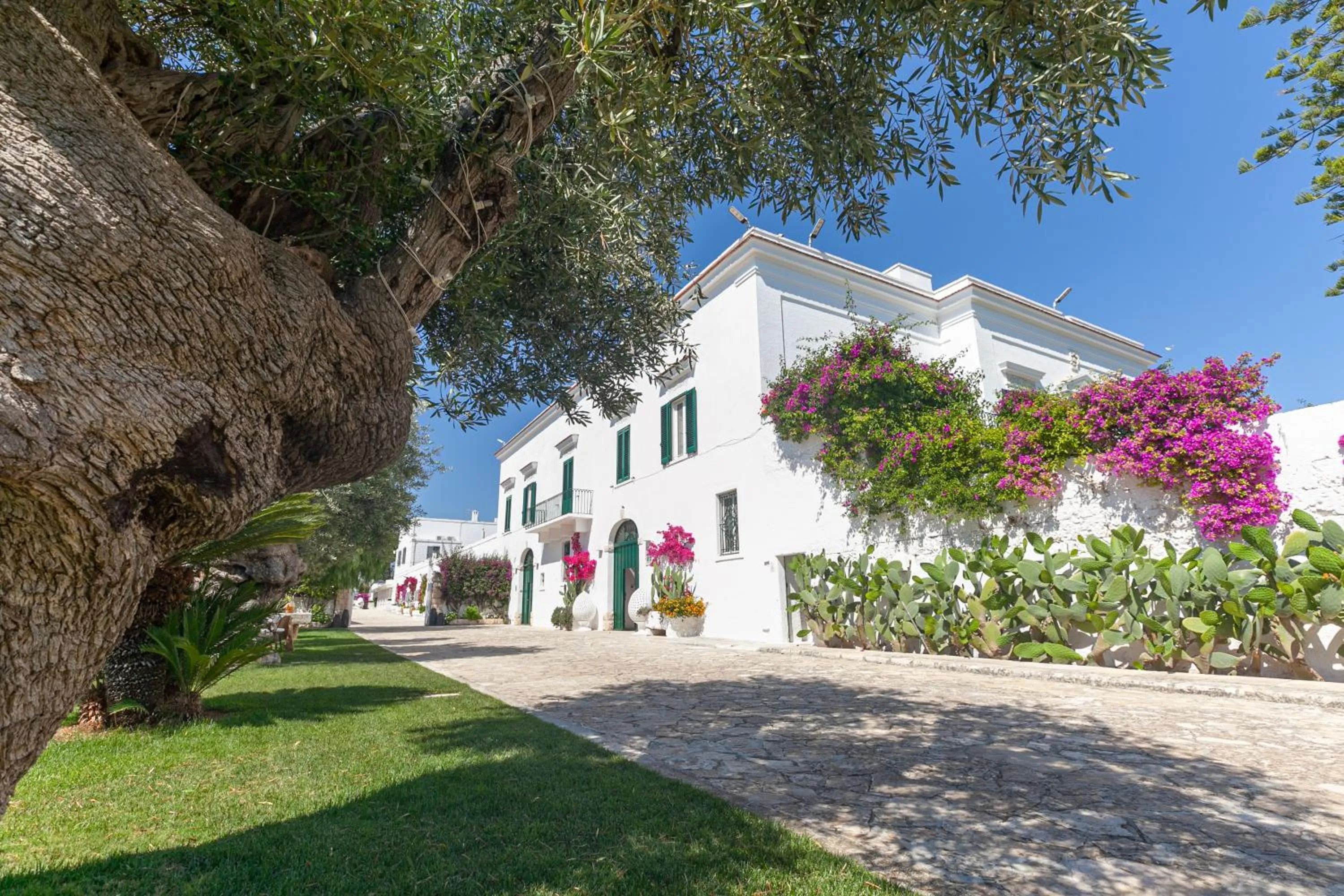 Property building in Masseria San Nicola Savelletri - B&B