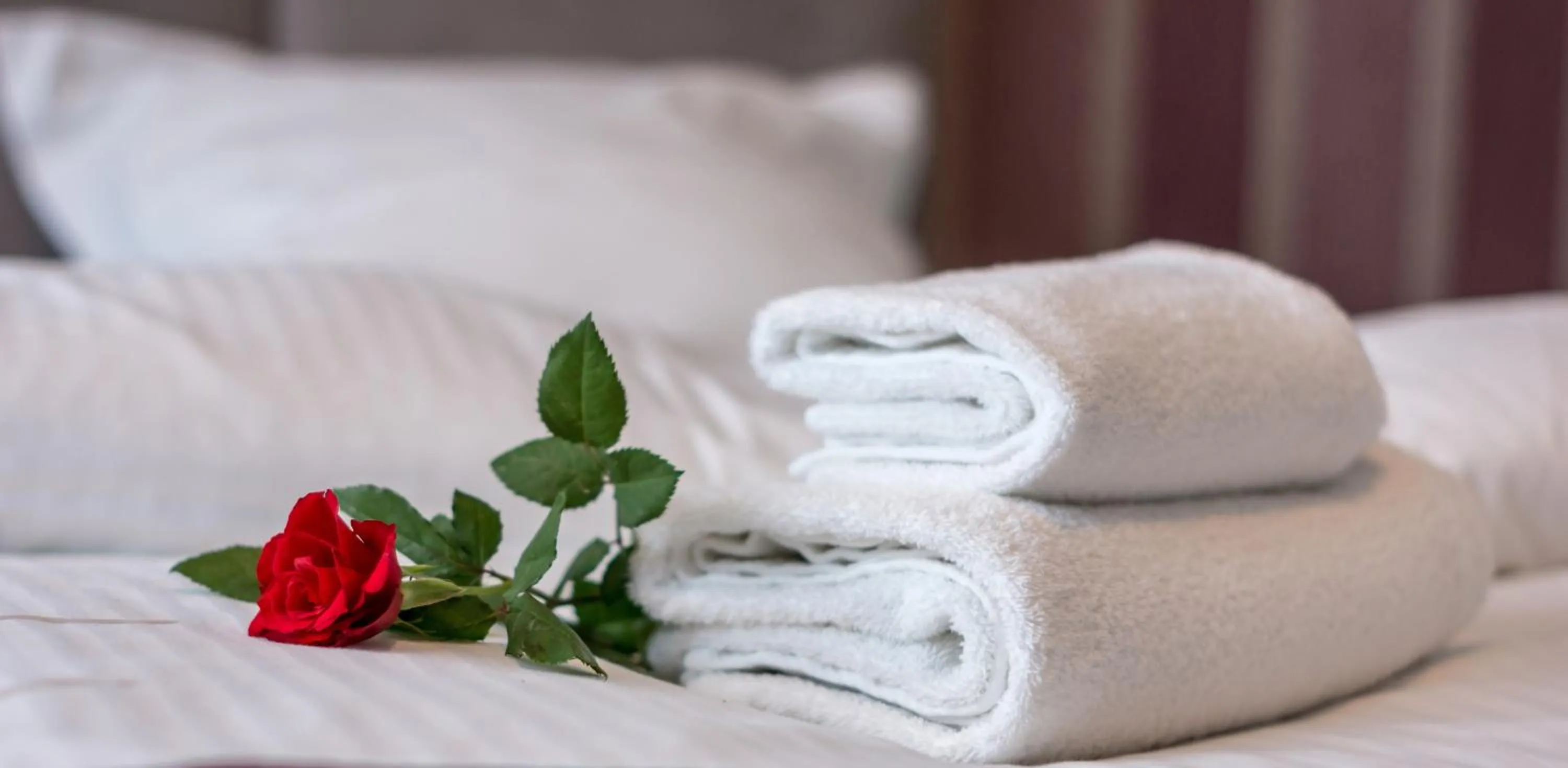 Photo of the whole room, Bed in Hotel Europejski