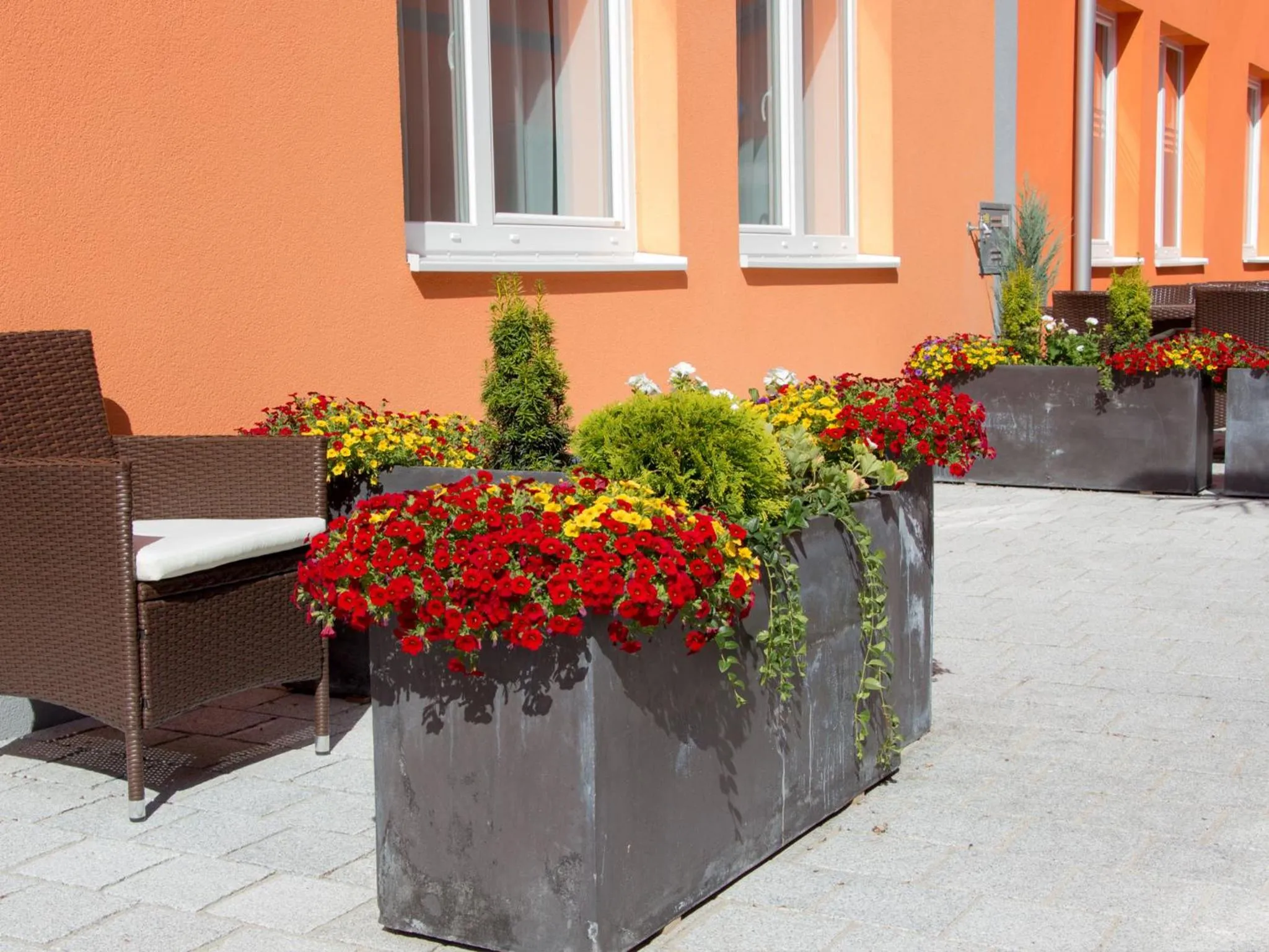 Garden in WinRooms "hotel&apartments"