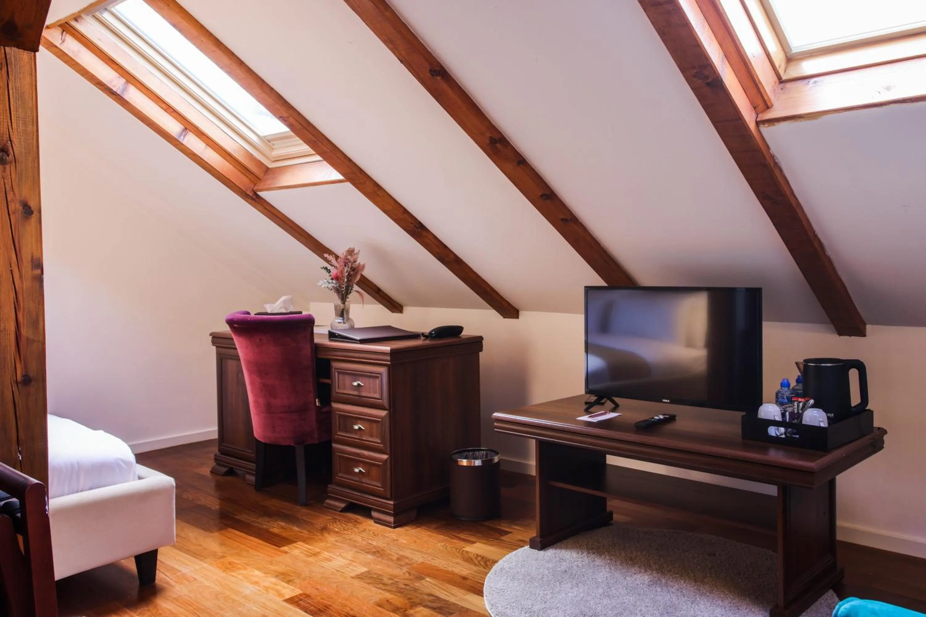 TV and multimedia in Villa 1927