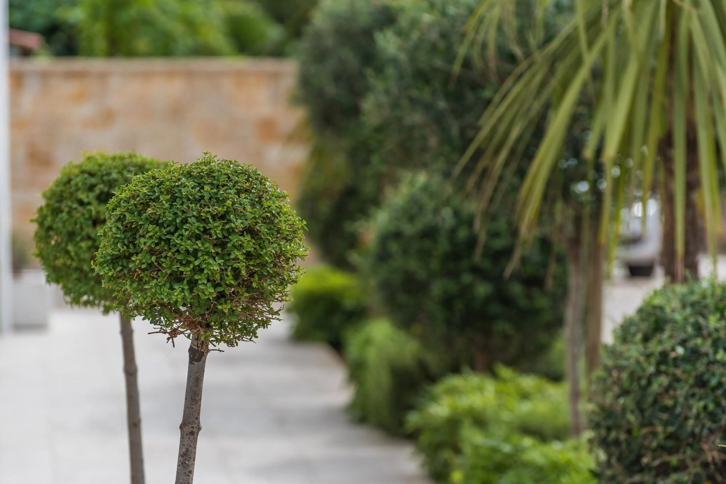 Natural landscape in Villa Karla