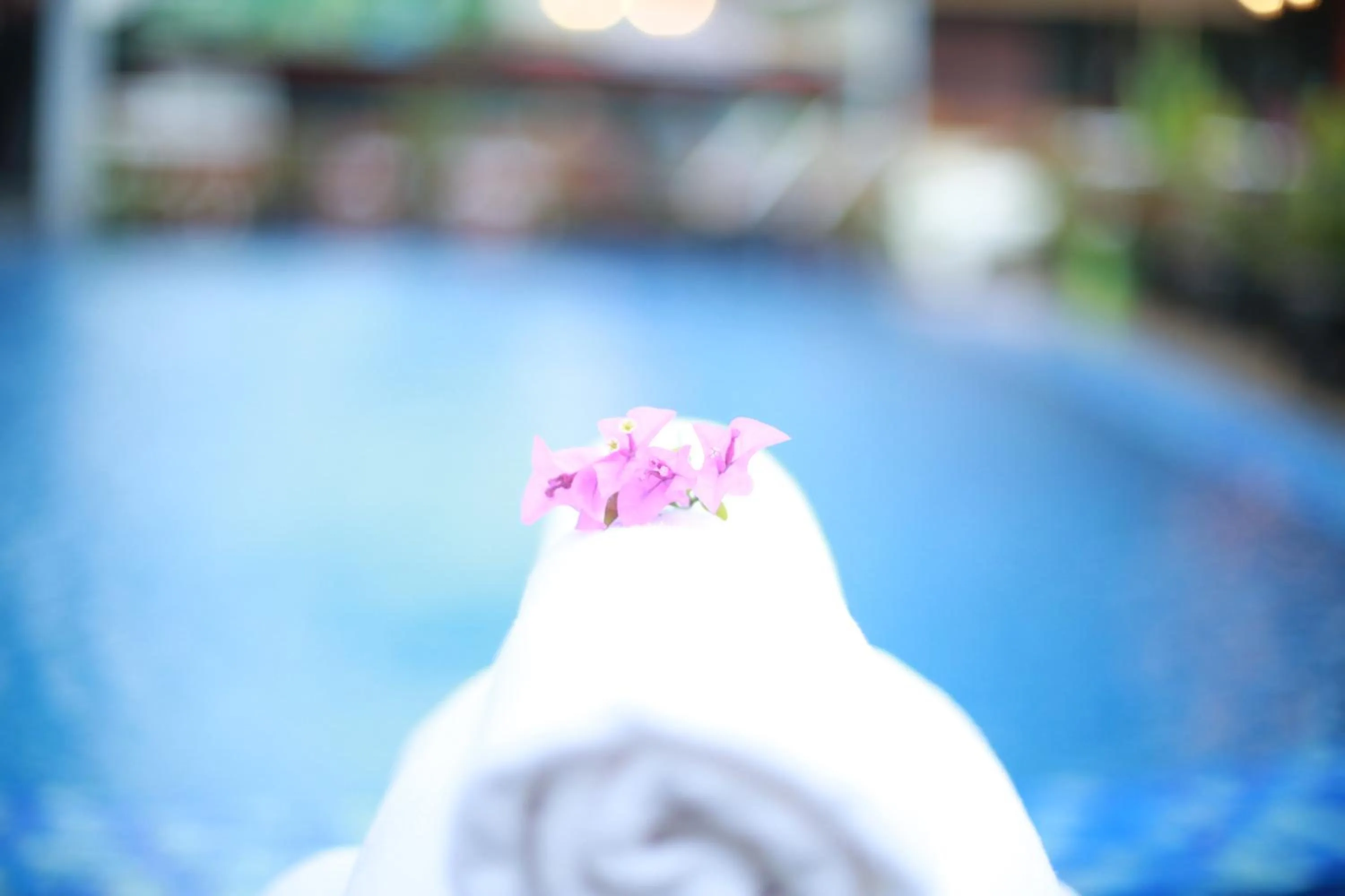 Day in Garden Resort