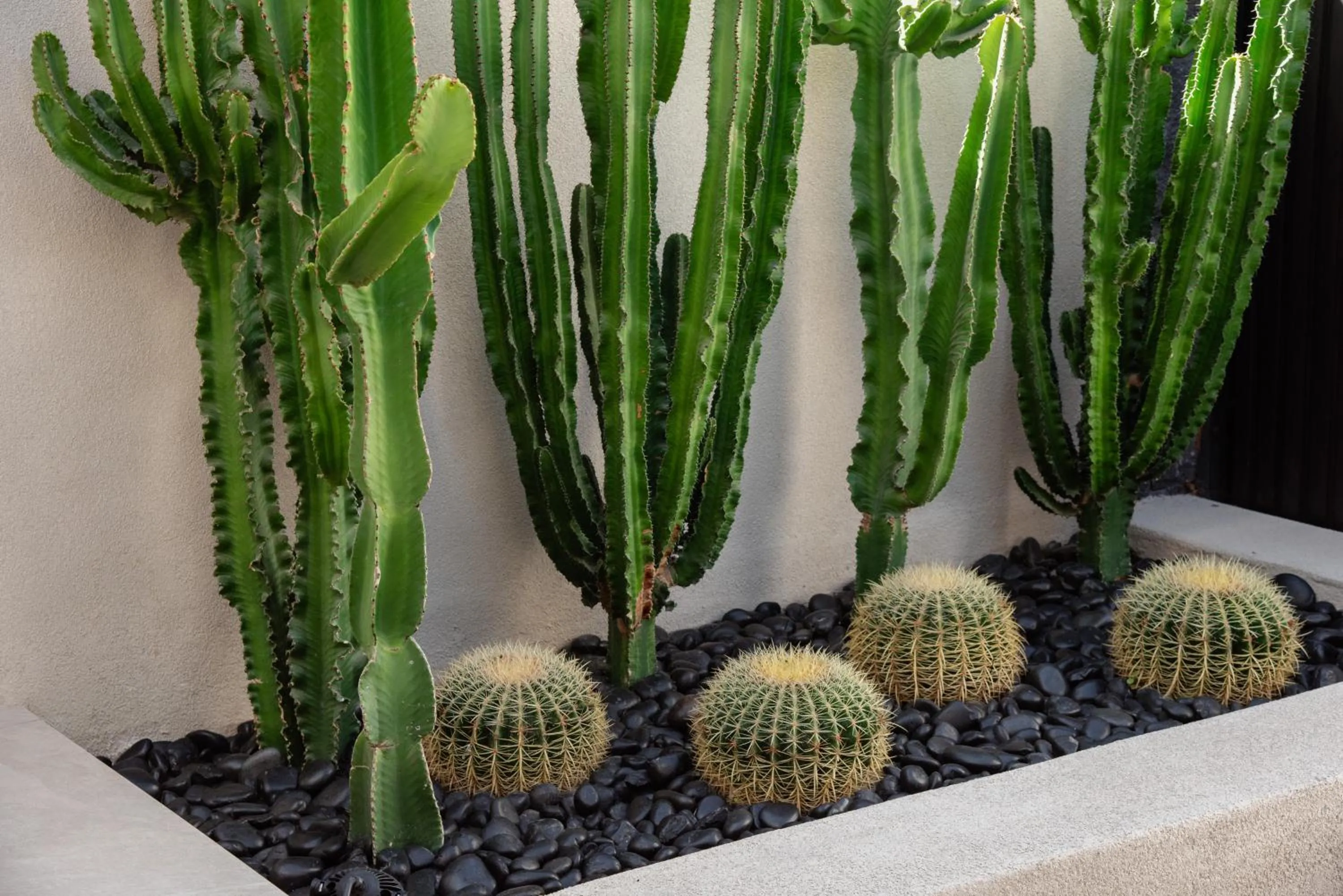 Garden in Alaso Design Suites