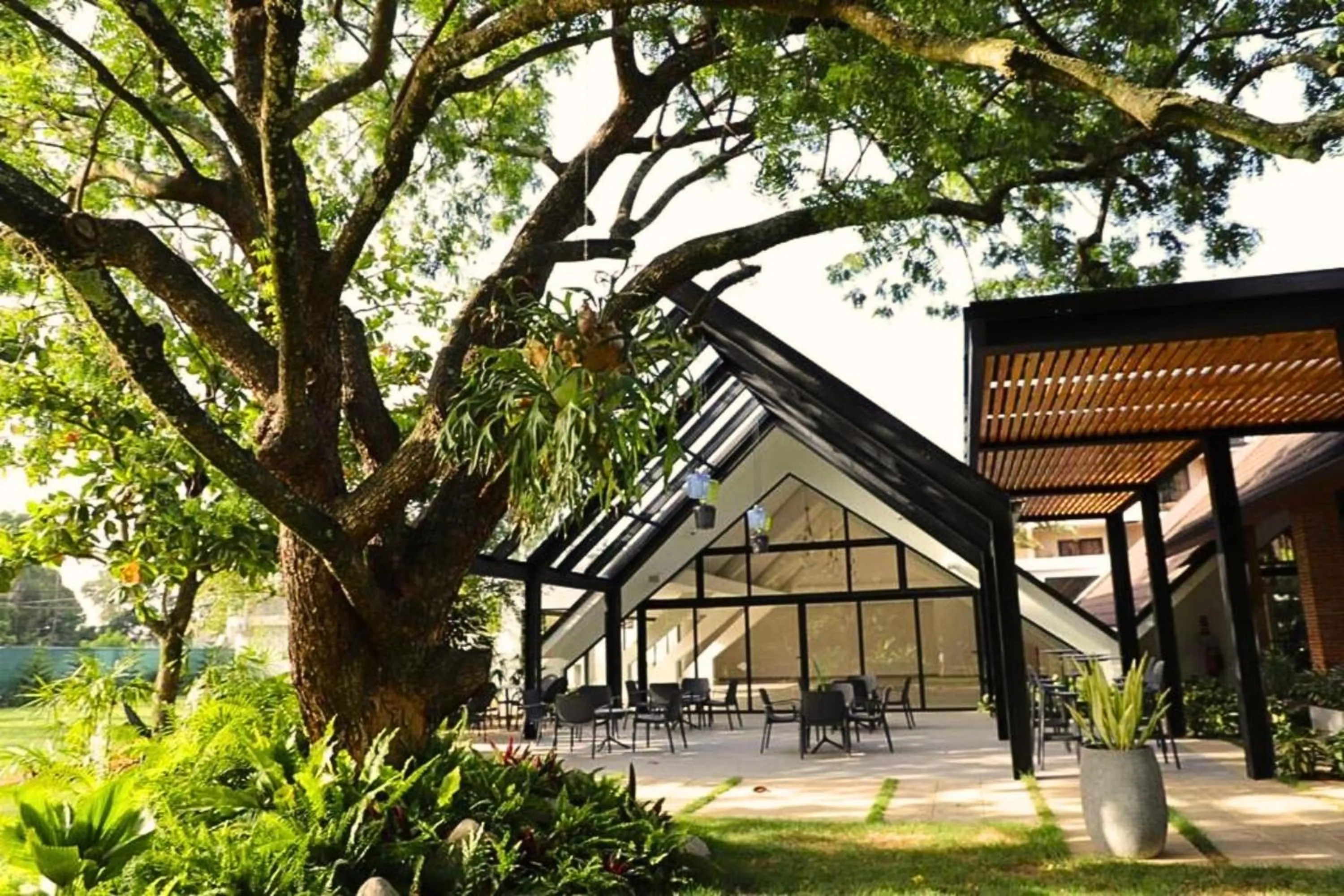 Restaurant/places to eat in Hotel Pinar Dorado By Hotel Gran Jimenoa