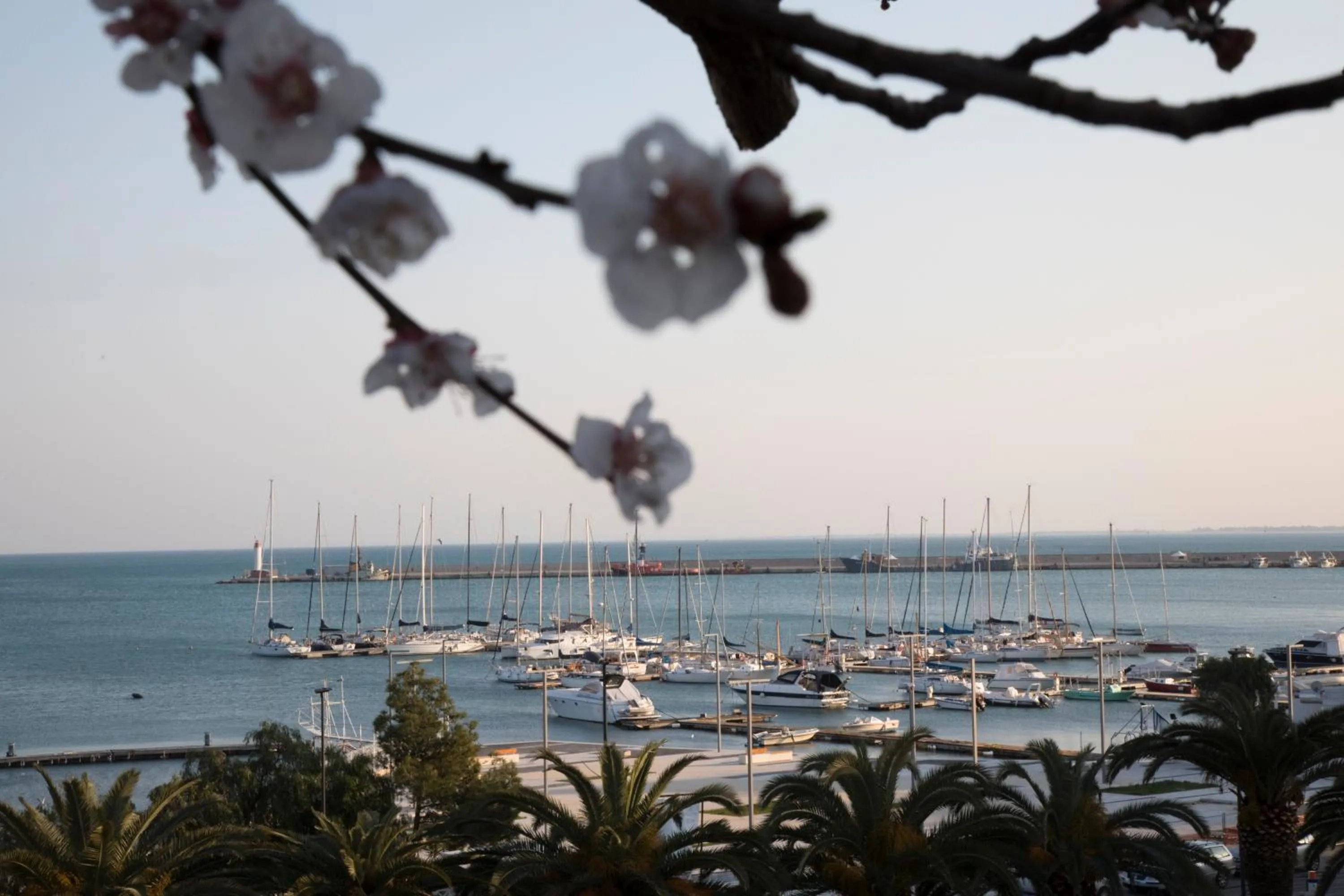 Natural landscape in La Dolce Vista - B&B di Charme