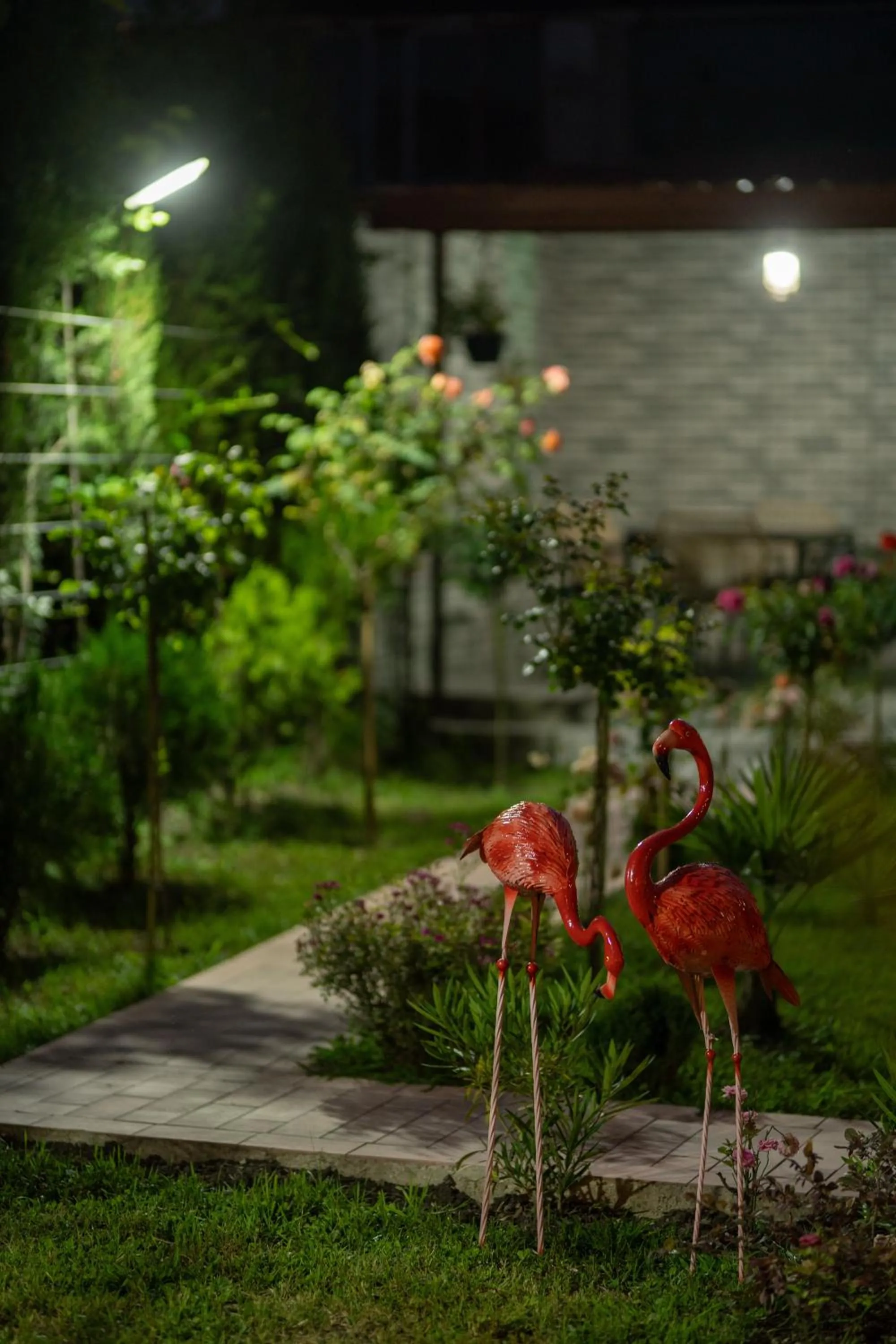 Garden in Kera Rooms