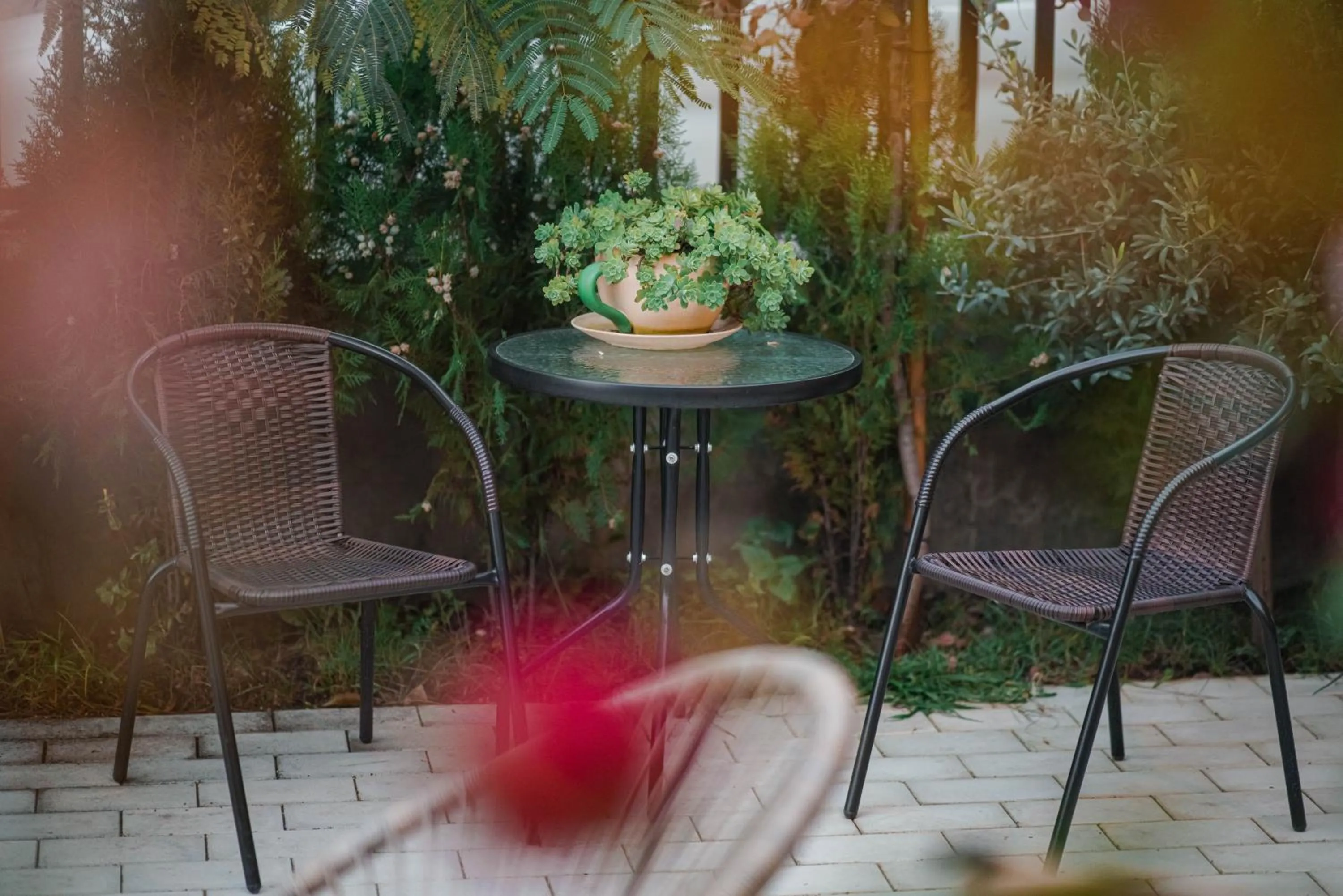 Garden in Kera Rooms