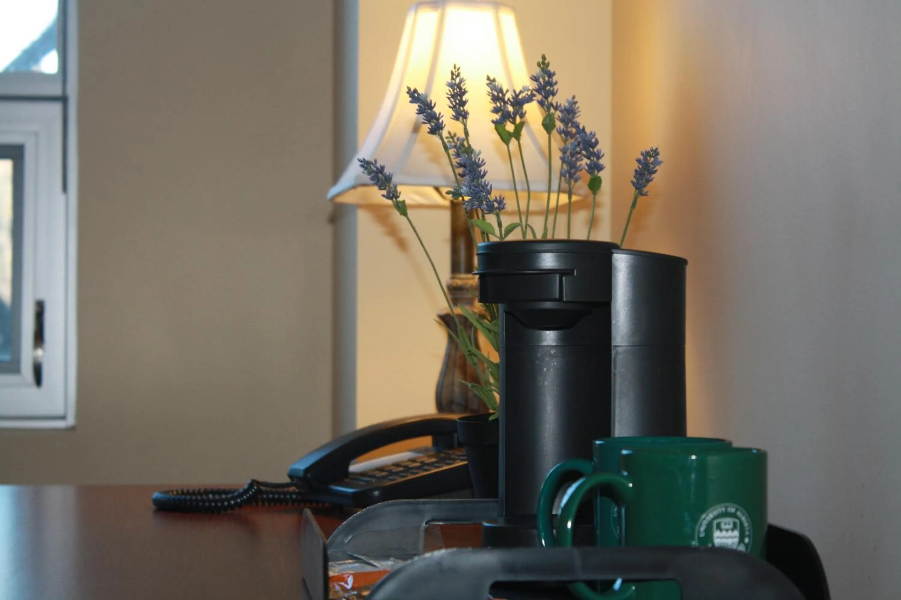 Coffee/tea facilities in University of Alberta - Hotel