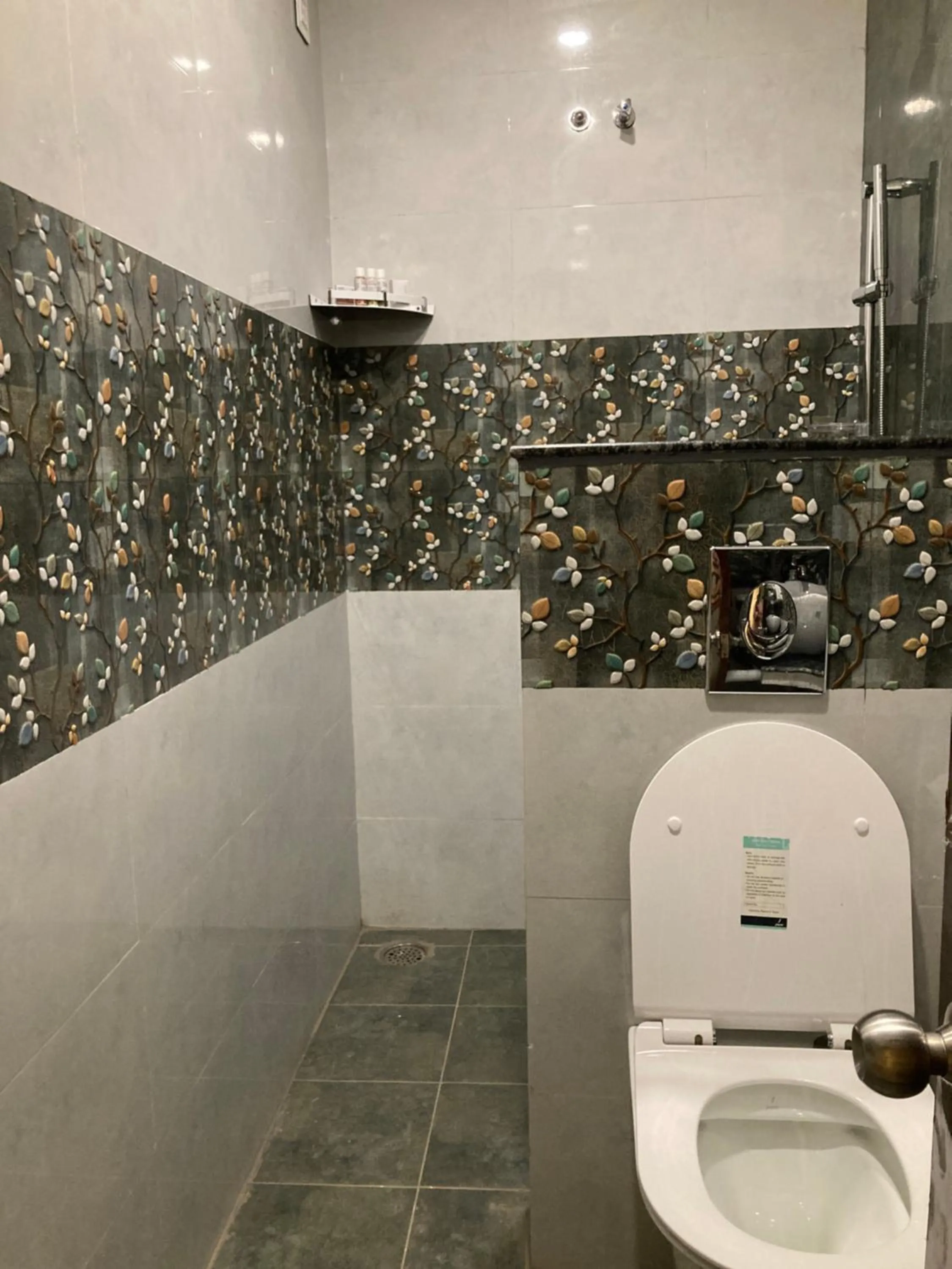 MURALI KRISHNA APART HOTEL