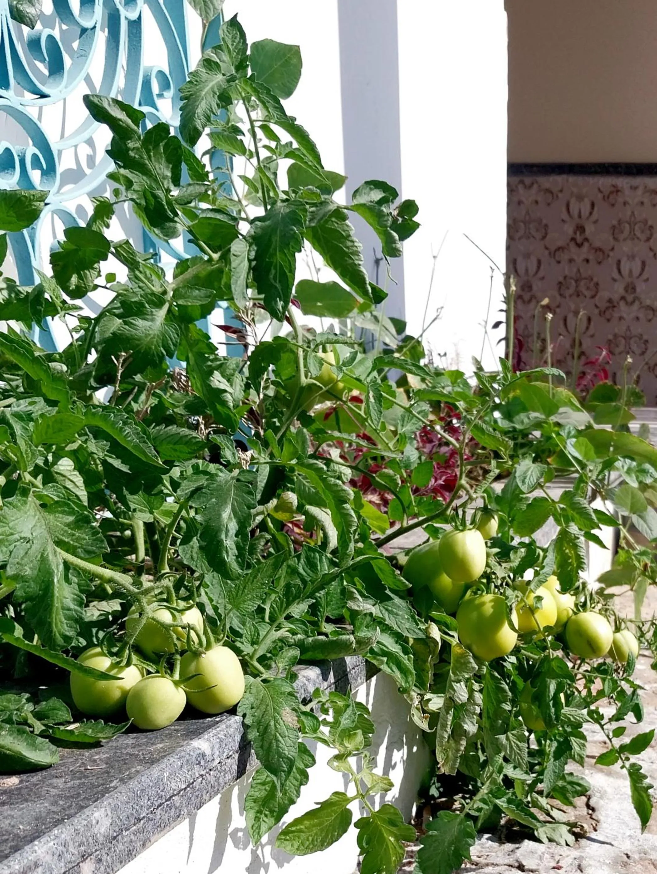 Property building in Blue Residence Dahab