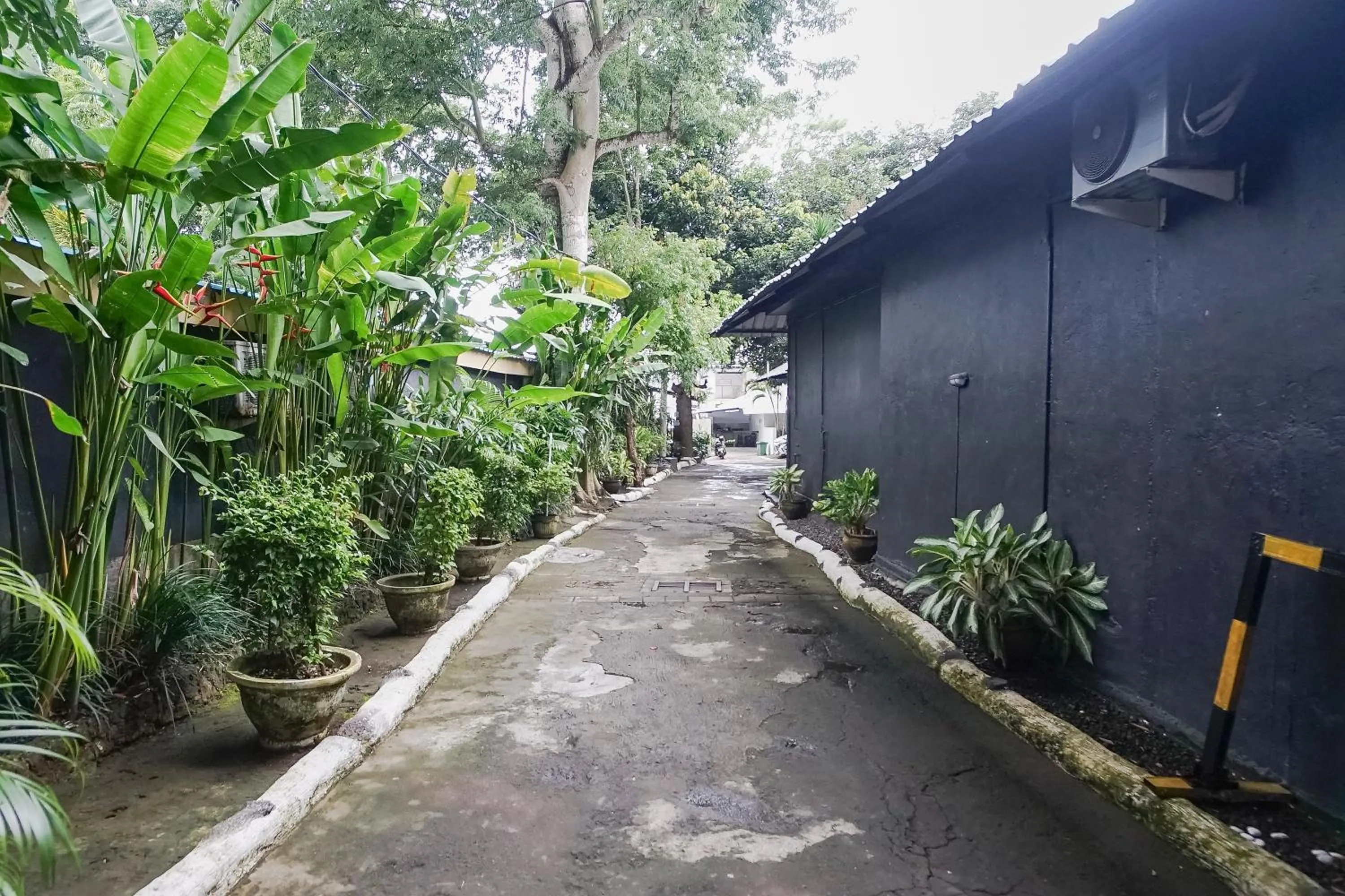 Garden in Kos 168 Jimbaran