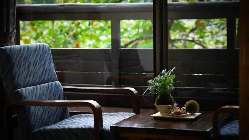 Photo of the whole room in Ryokan Misato