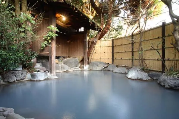 Hot Spring Bath in Ryokan Misato