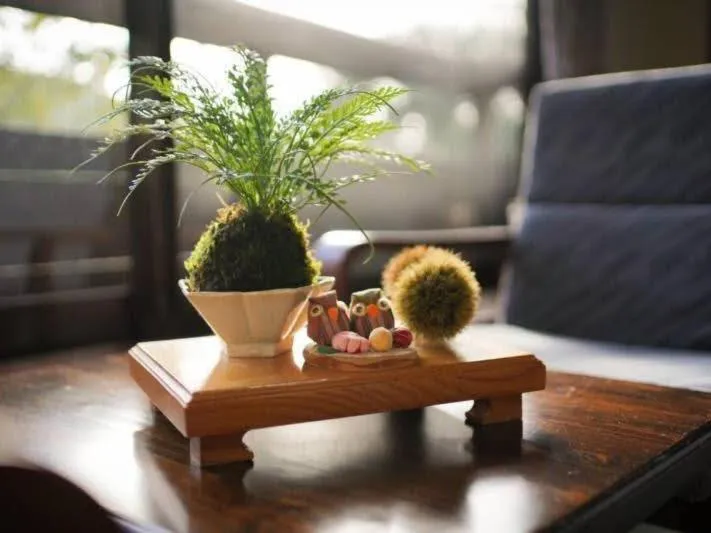 Other in Ryokan Misato