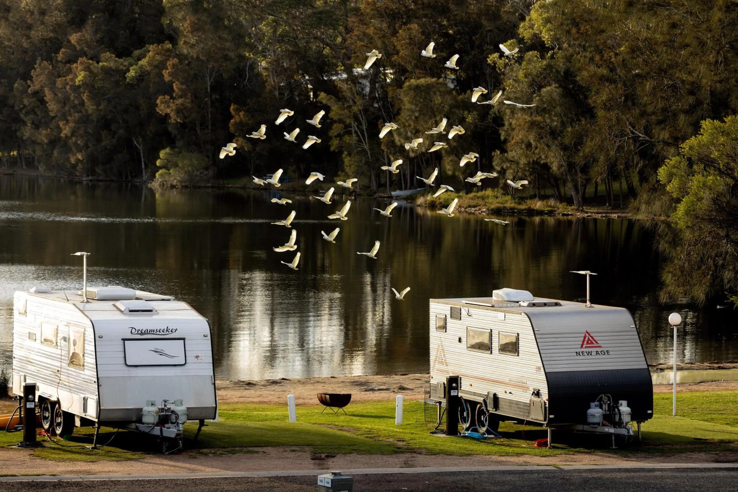 Natural landscape in BIG4 Wallaga Lake Holiday Park