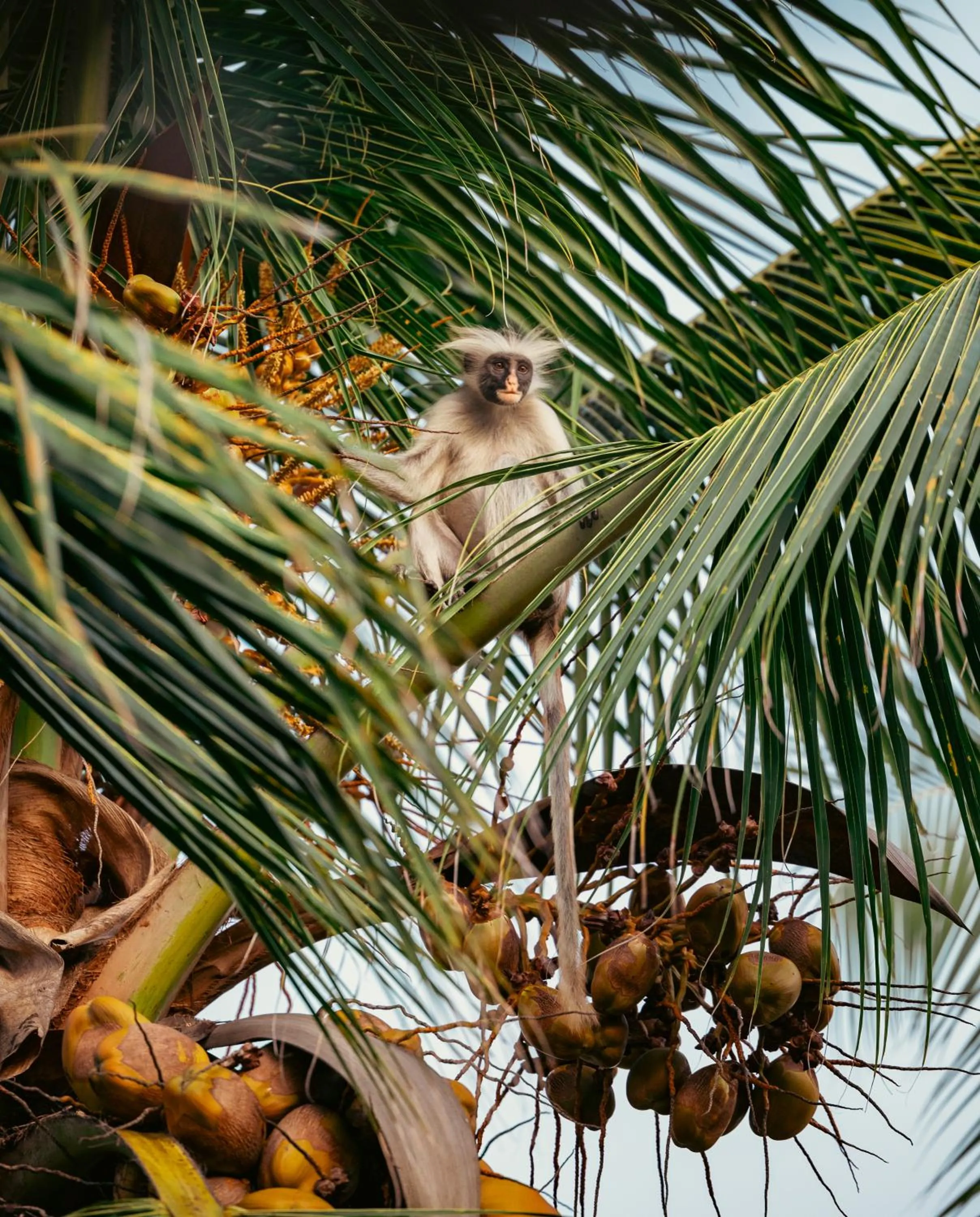 Day in Mayai Ocean Resort