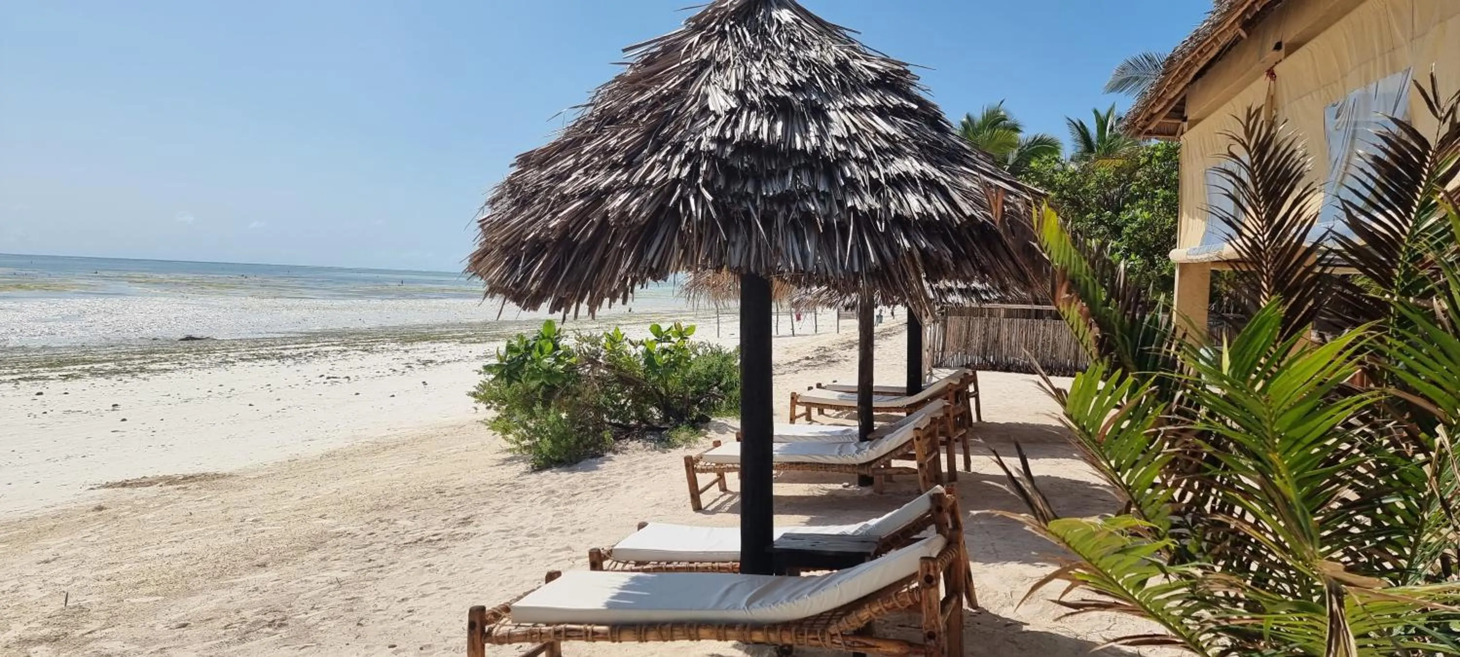 Restaurant/places to eat in Mayai Ocean Resort