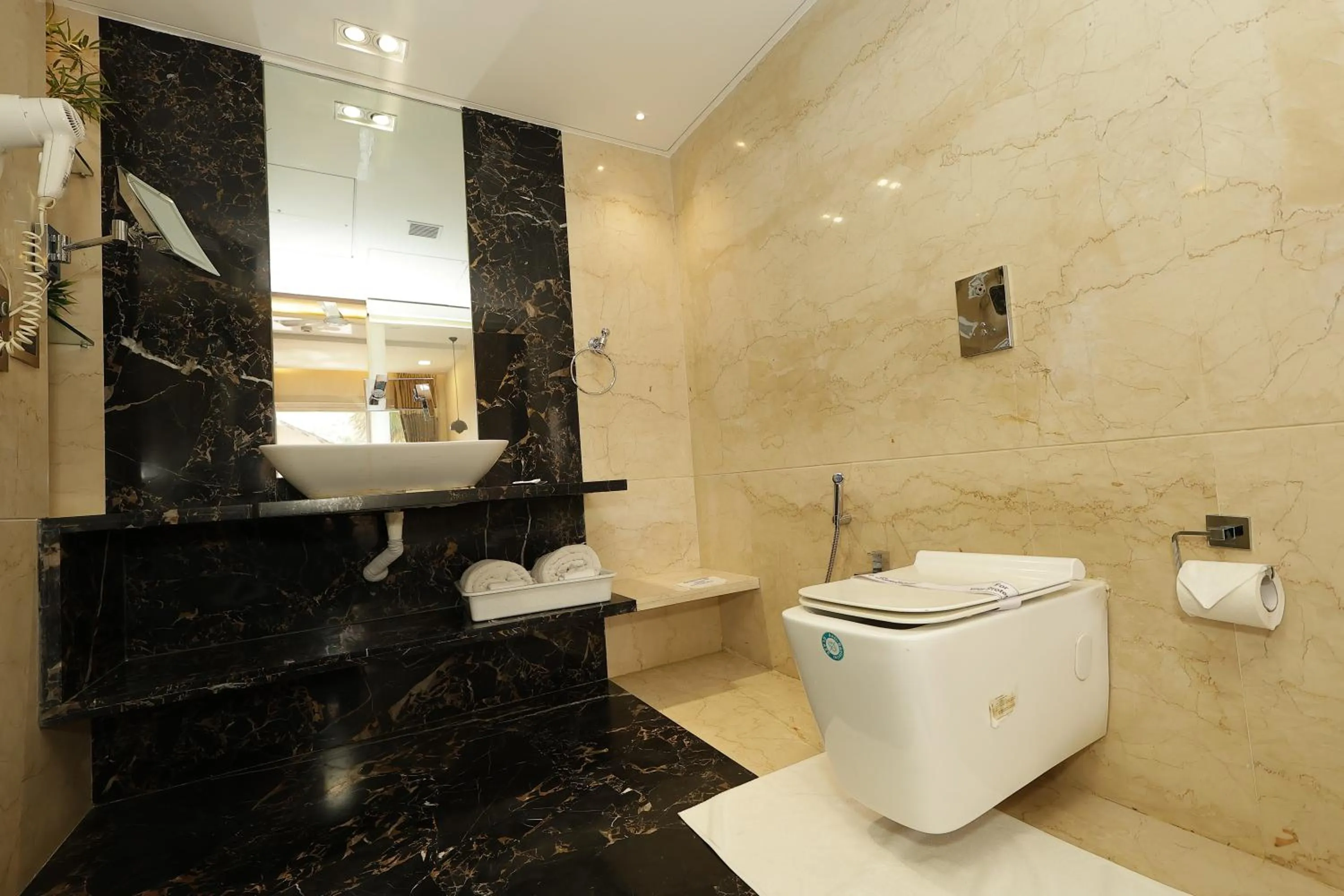 Toilet in Kailash Parbat