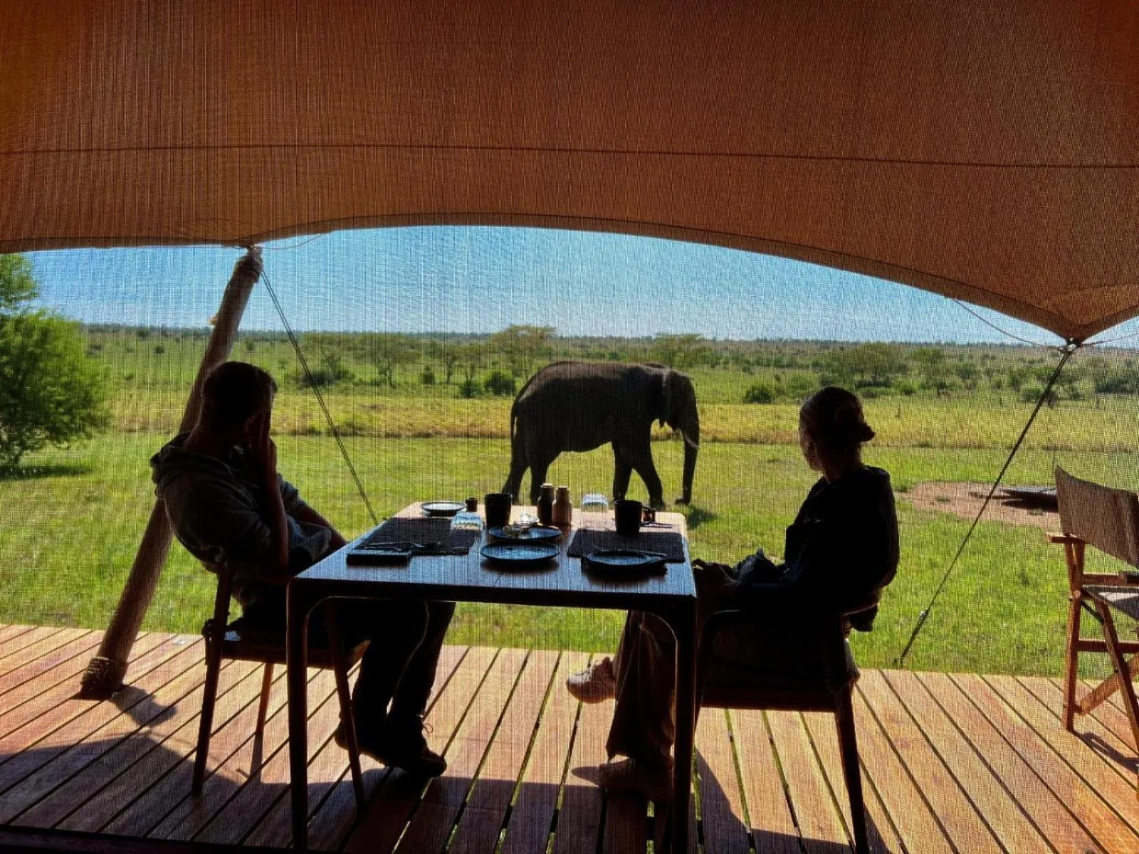 Restaurant/places to eat in Anantya Serengeti