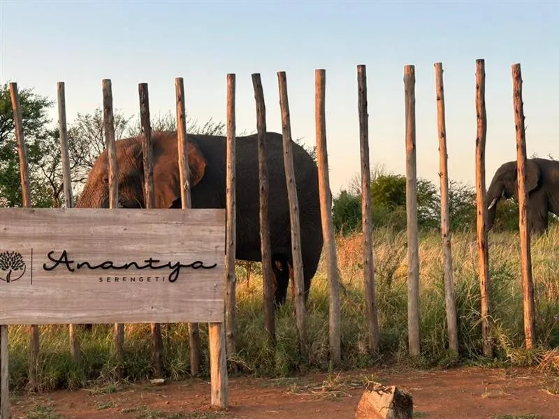 Anantya Serengeti