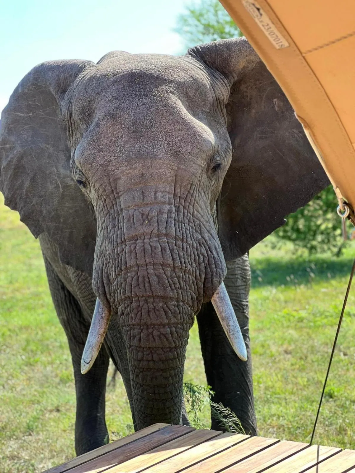 Day in Anantya Serengeti