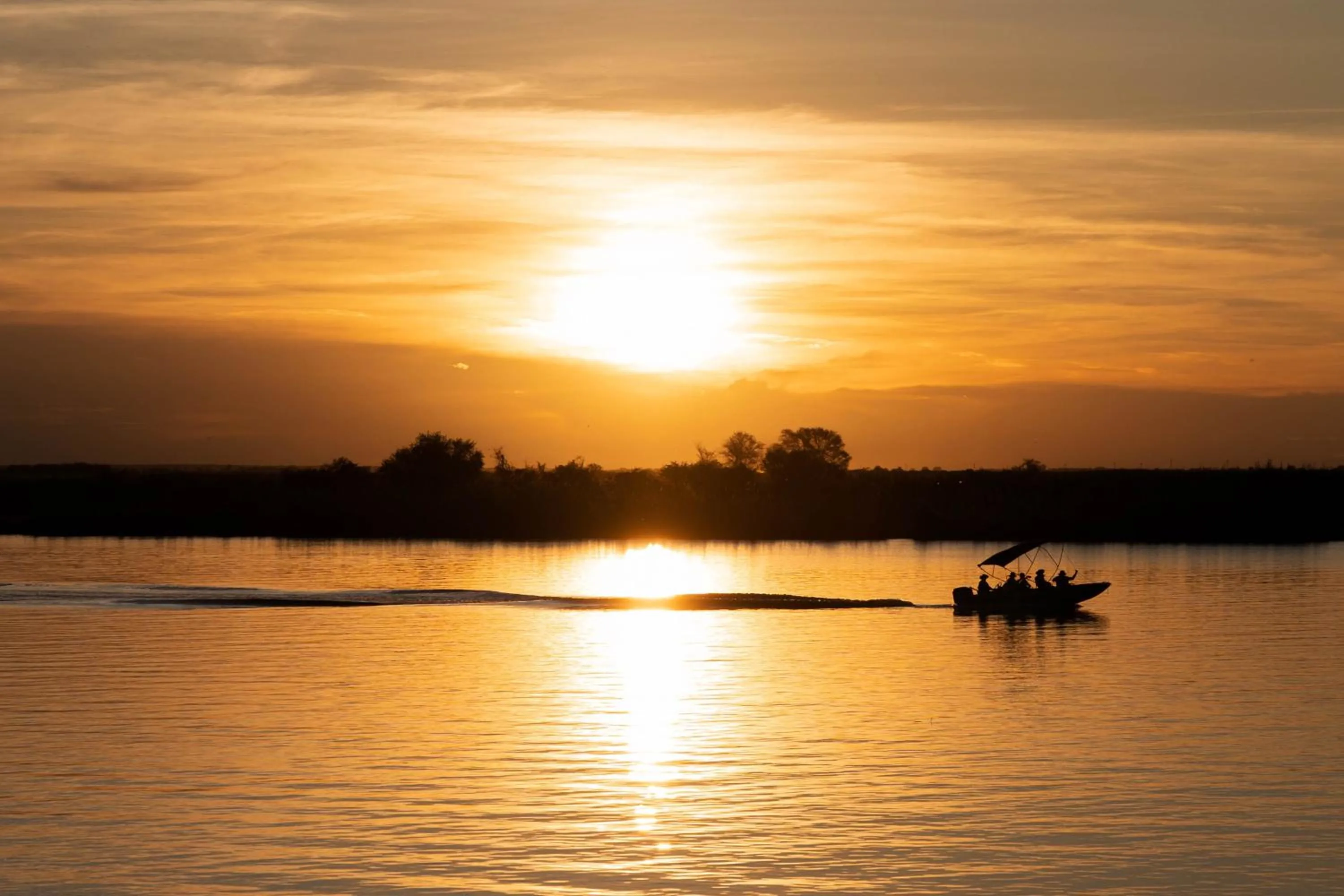 Activities in Chobe River Lodge