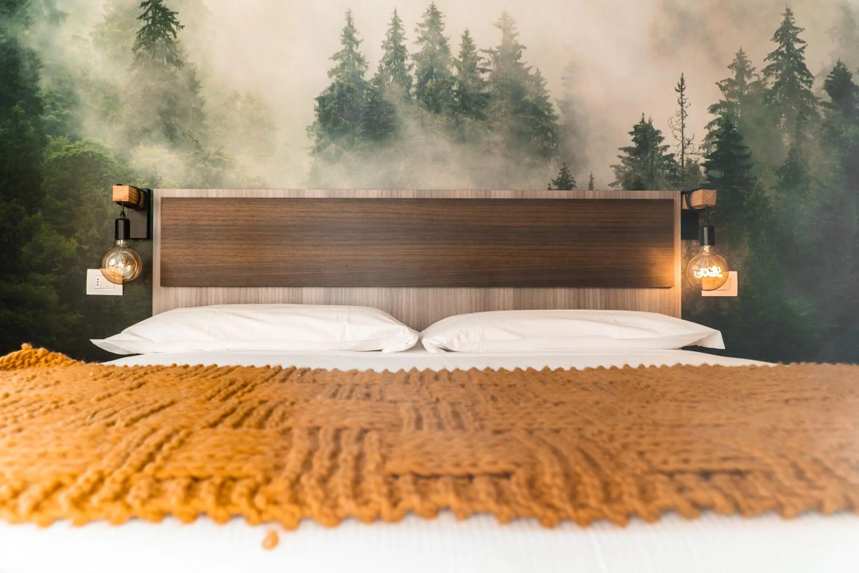 Photo of the whole room in Maison Poluc hotel apartments