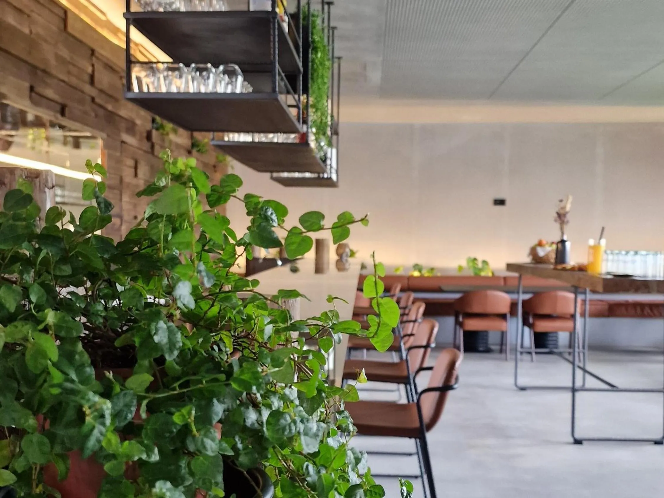 Lounge or bar in Puro Dão Hotel & Spa