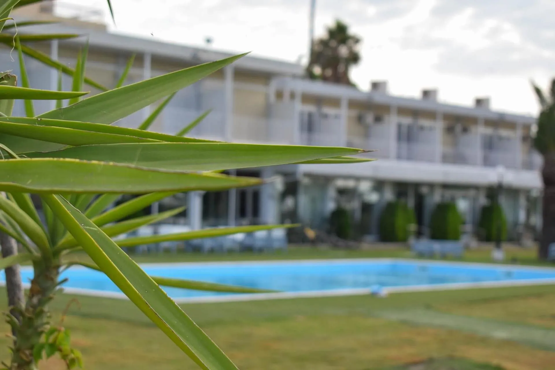 Swimming pool in Hotel Theoxenia