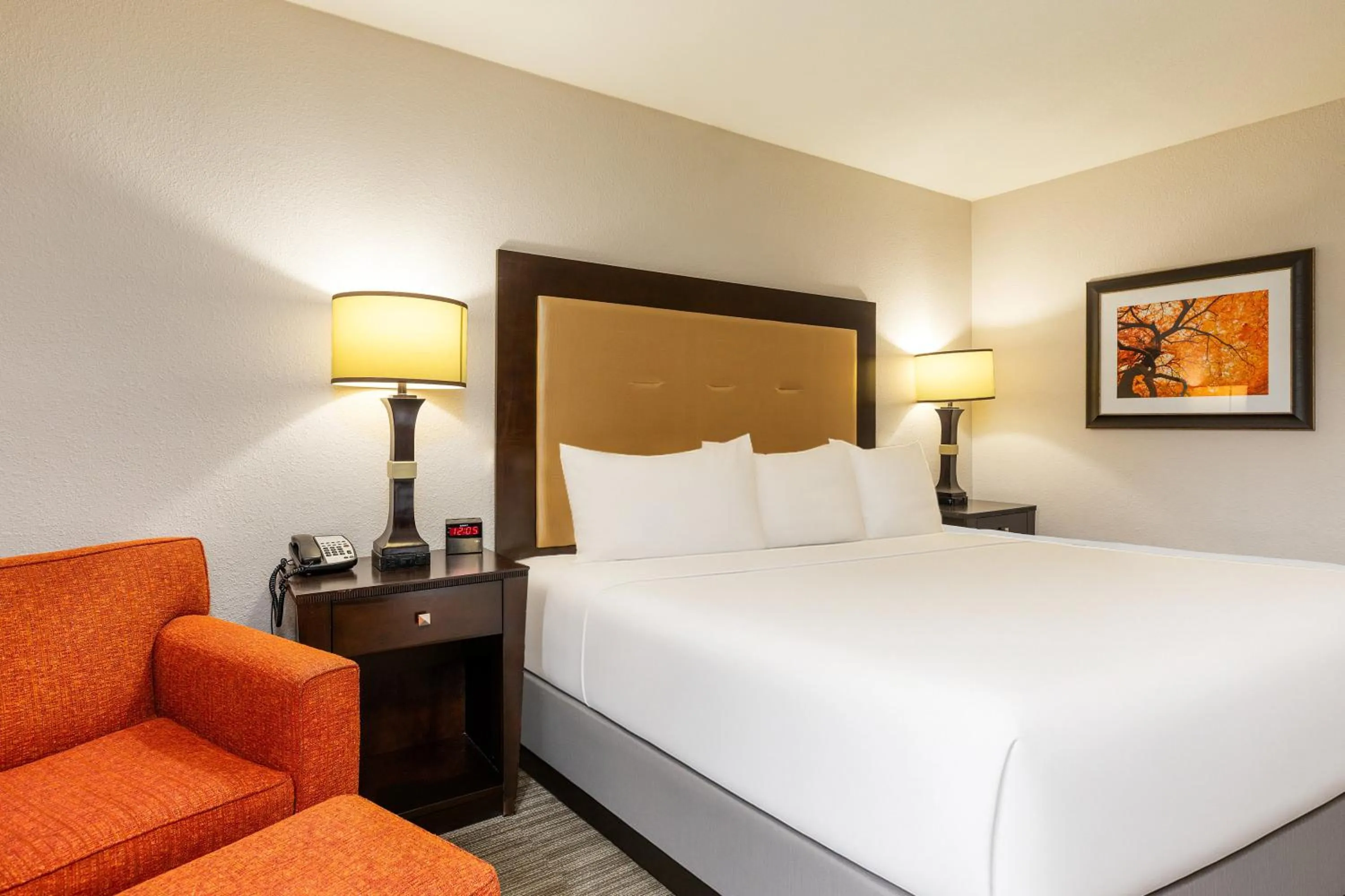 Bed in Branson Hillside Hotel