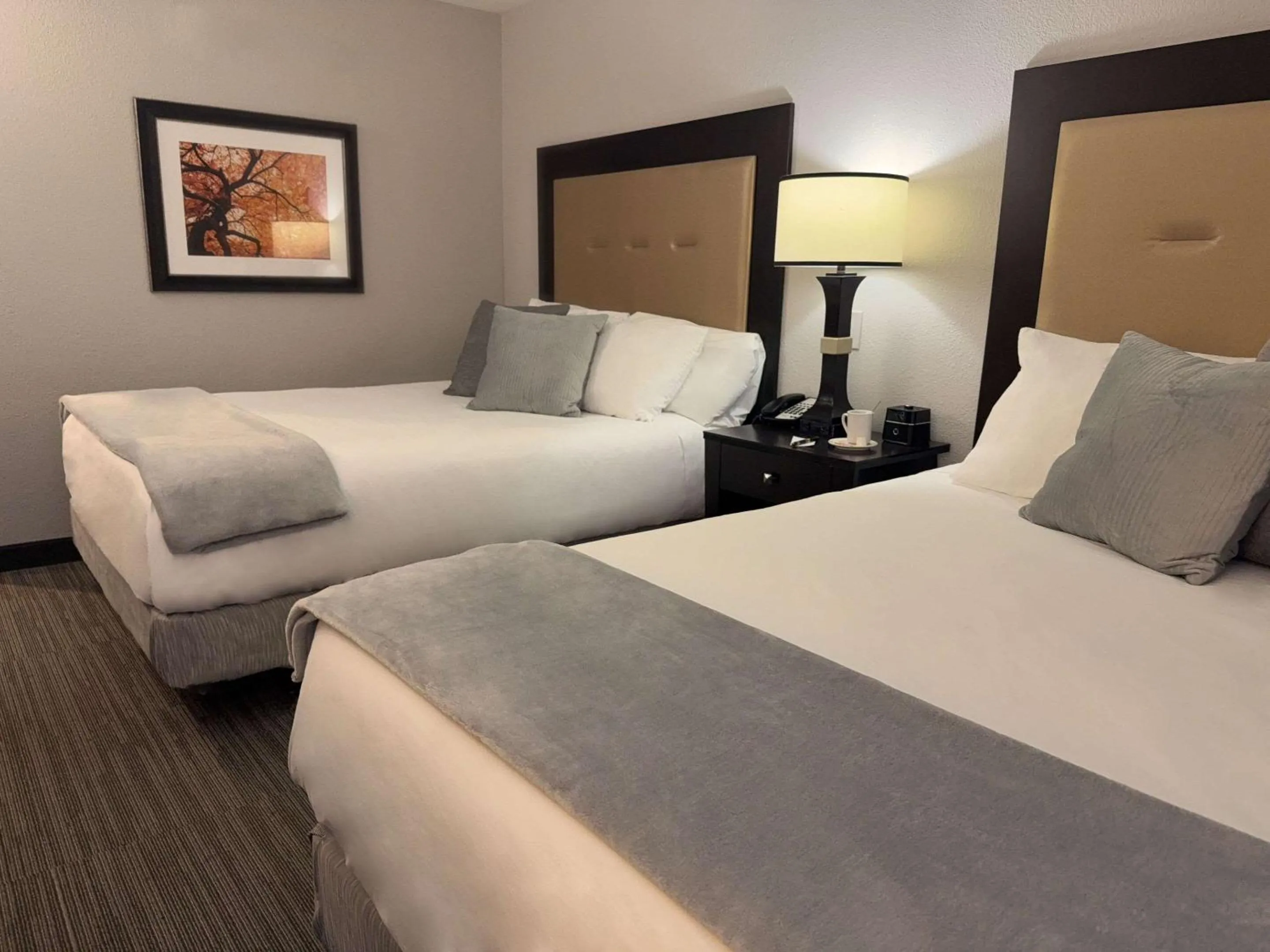 Bedroom in Branson Hillside Hotel