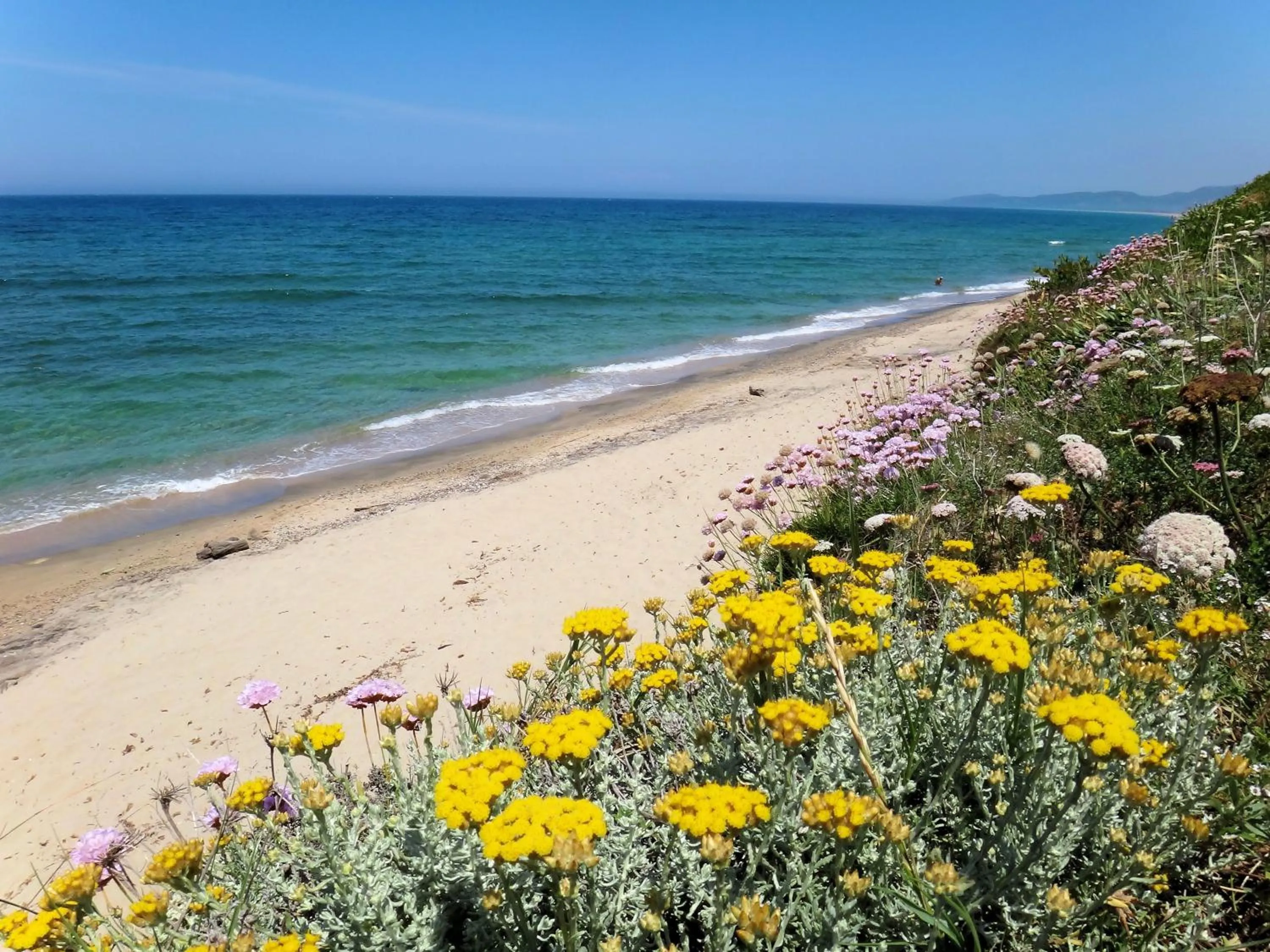 Natural landscape in Hotel La Tartaruga Bianca