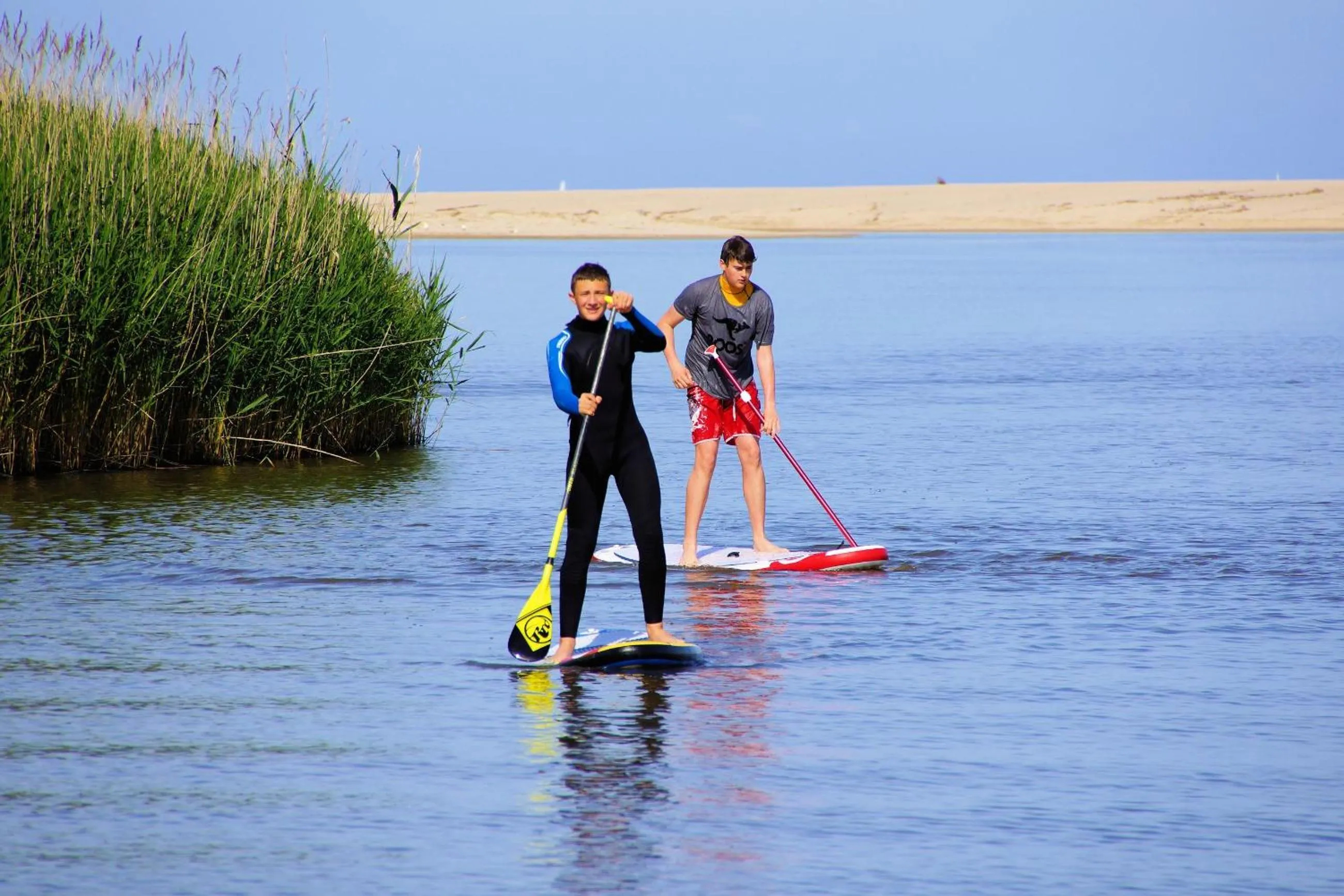 Activities in Hotel La Tartaruga Bianca