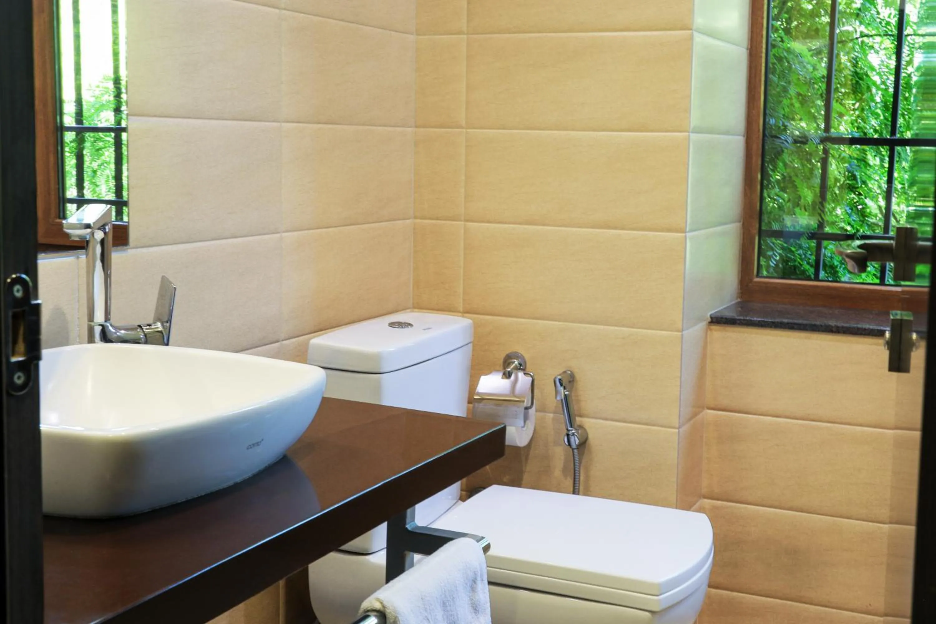 Toilet in My Hotel Yerevan