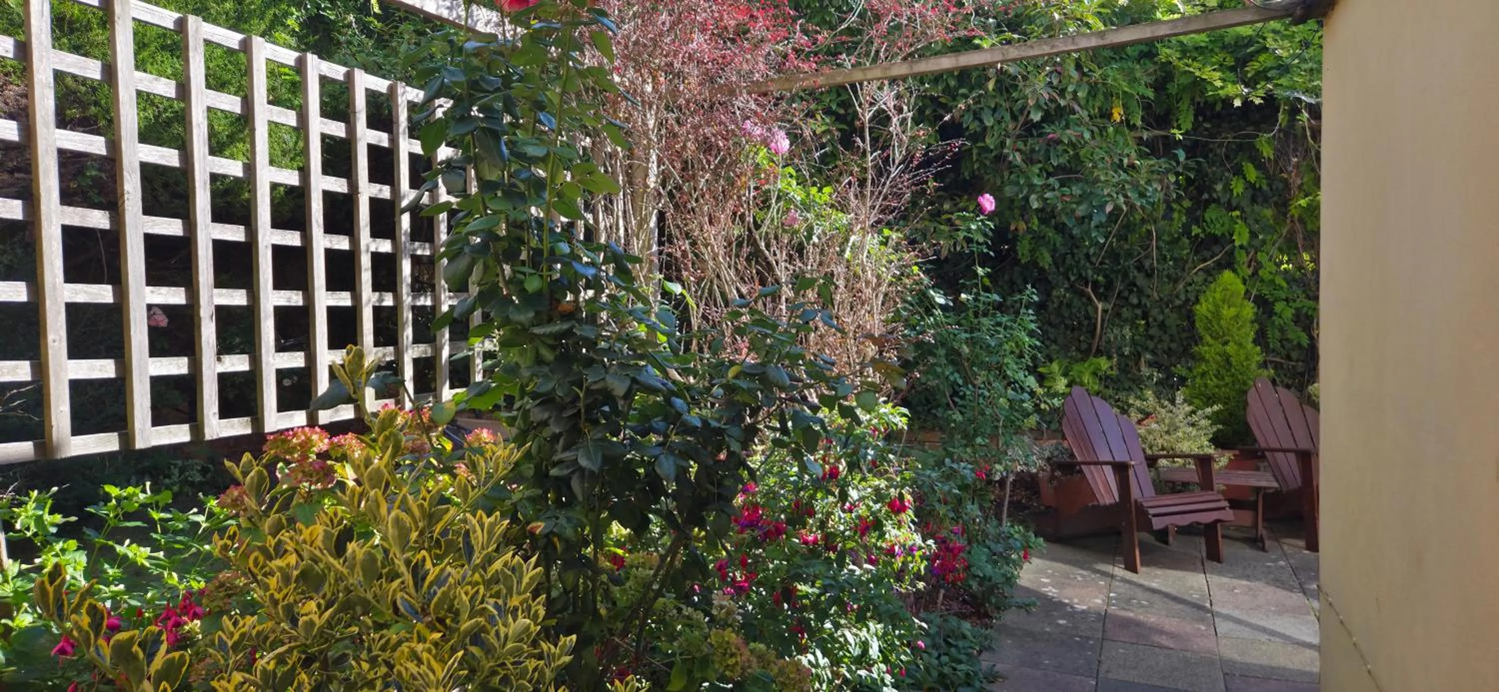 Garden in Edward Hotel