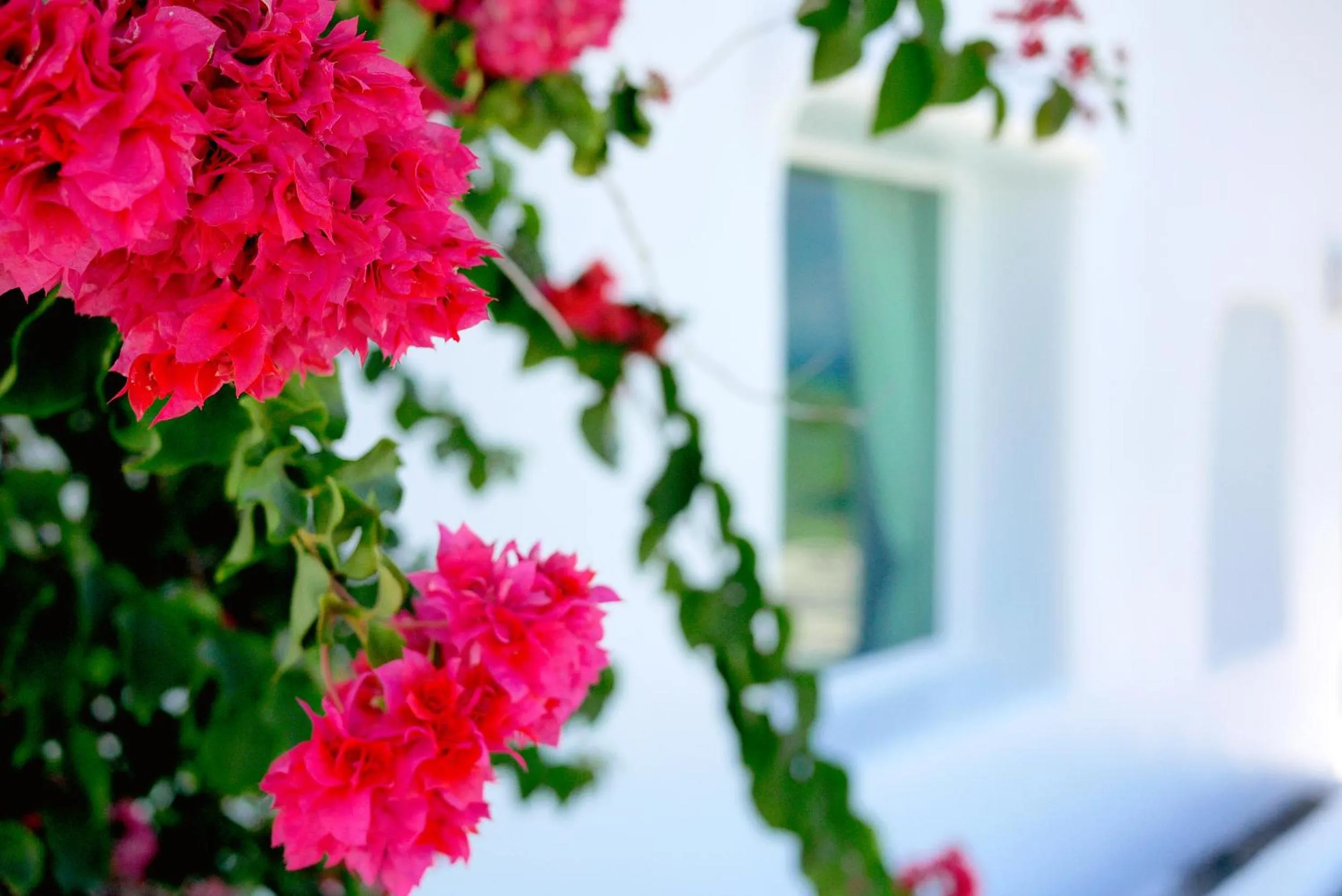Facade/entrance in Kenting South Border DeSign Hotel