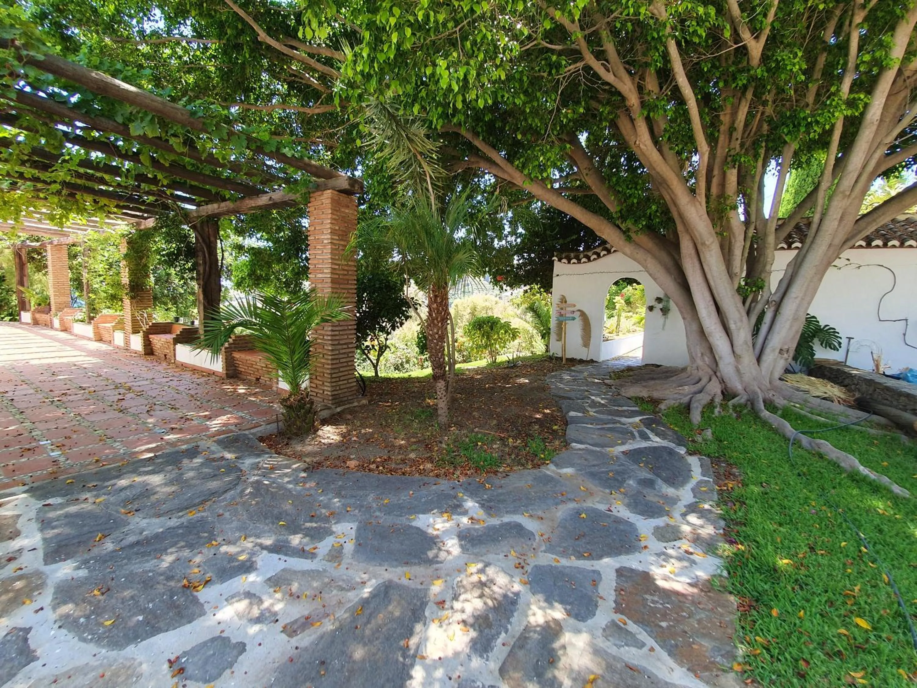 Garden in La Casa del Burro