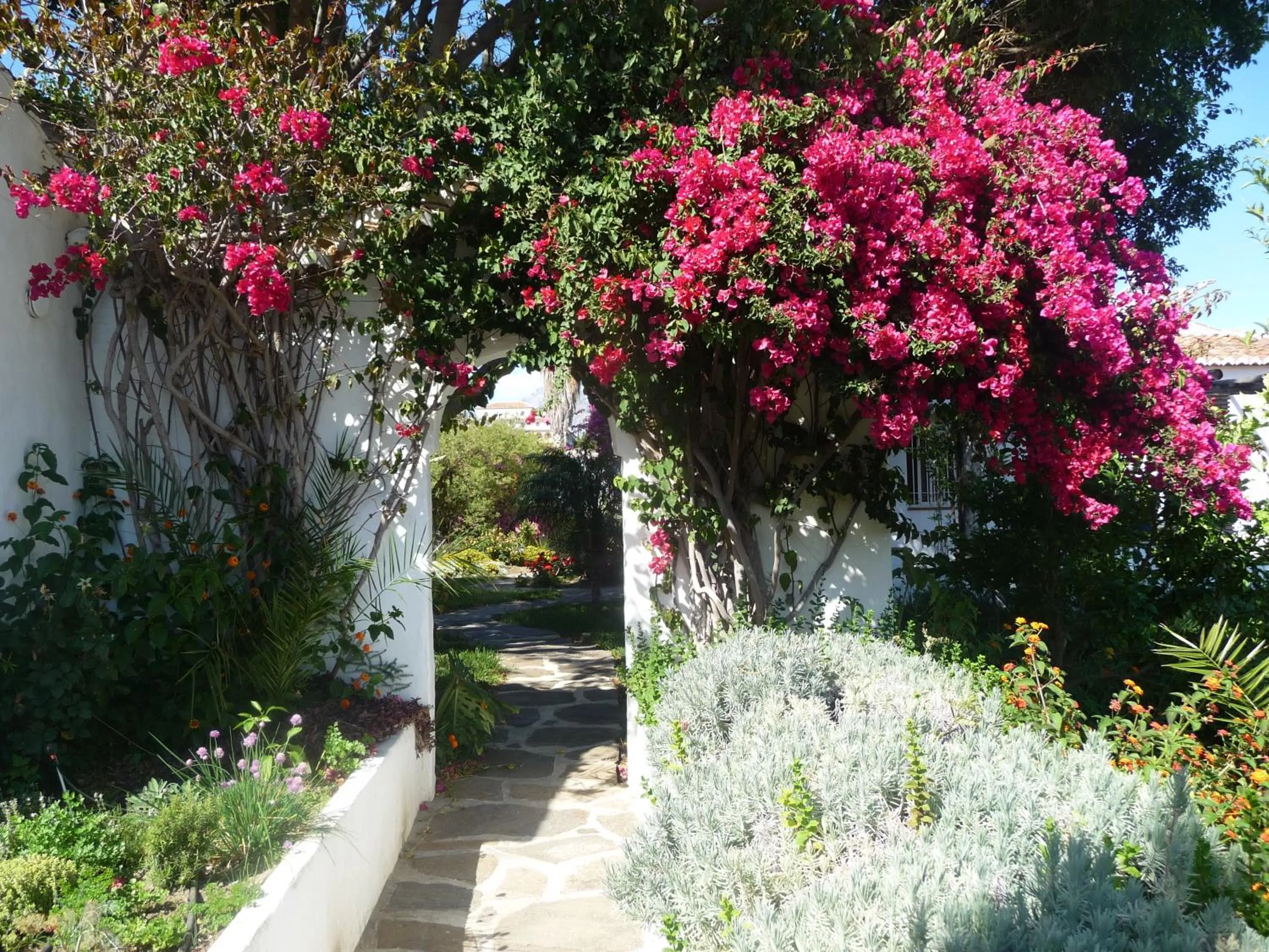 Garden in La Casa del Burro