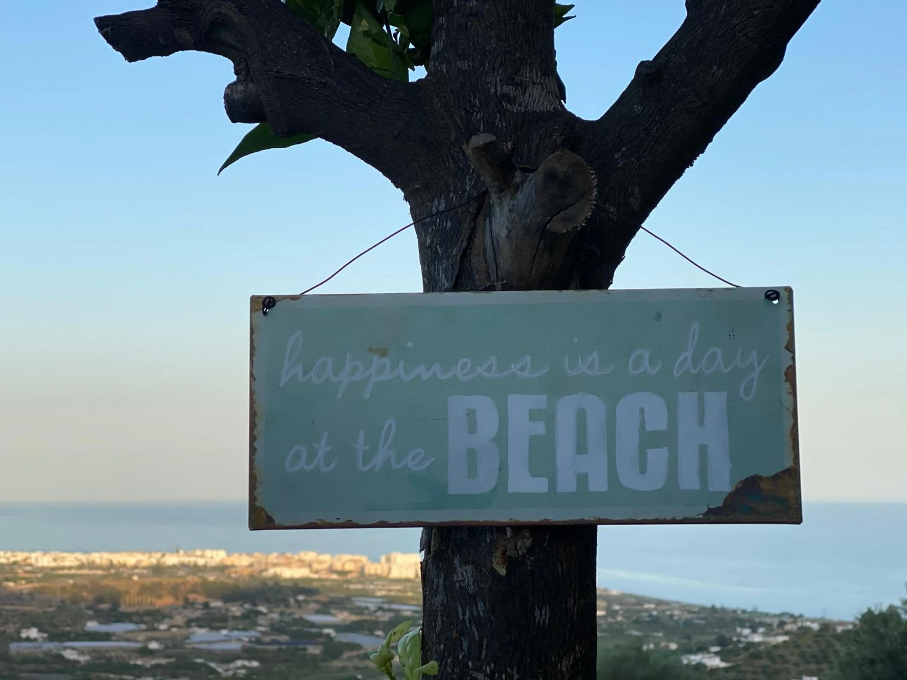 Decorative detail in La Casa del Burro