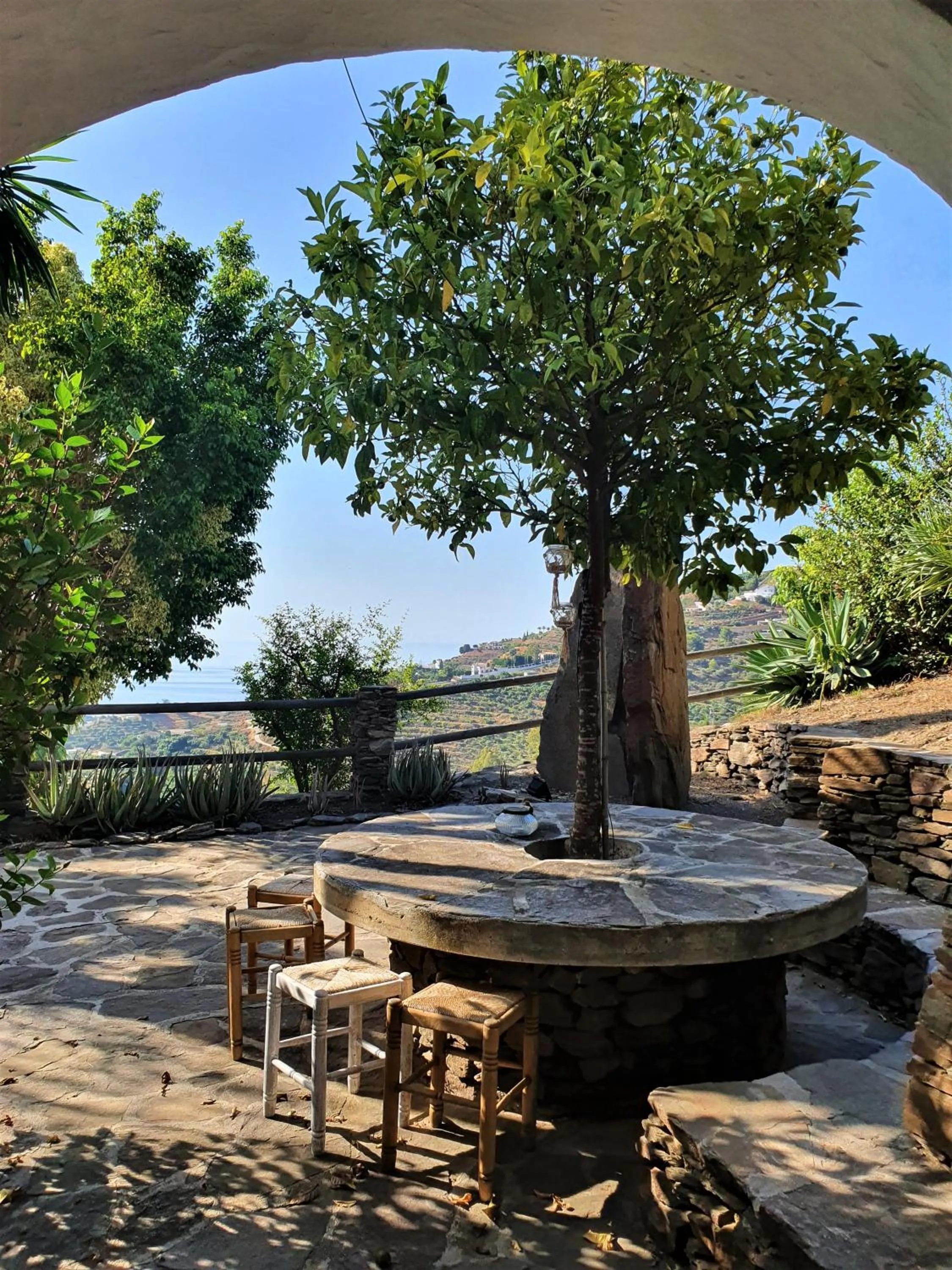 Garden in La Casa del Burro