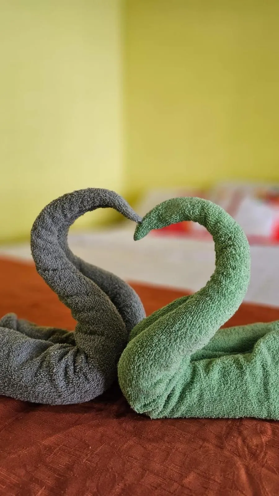 El Patio de Don Moncho - Shalpa