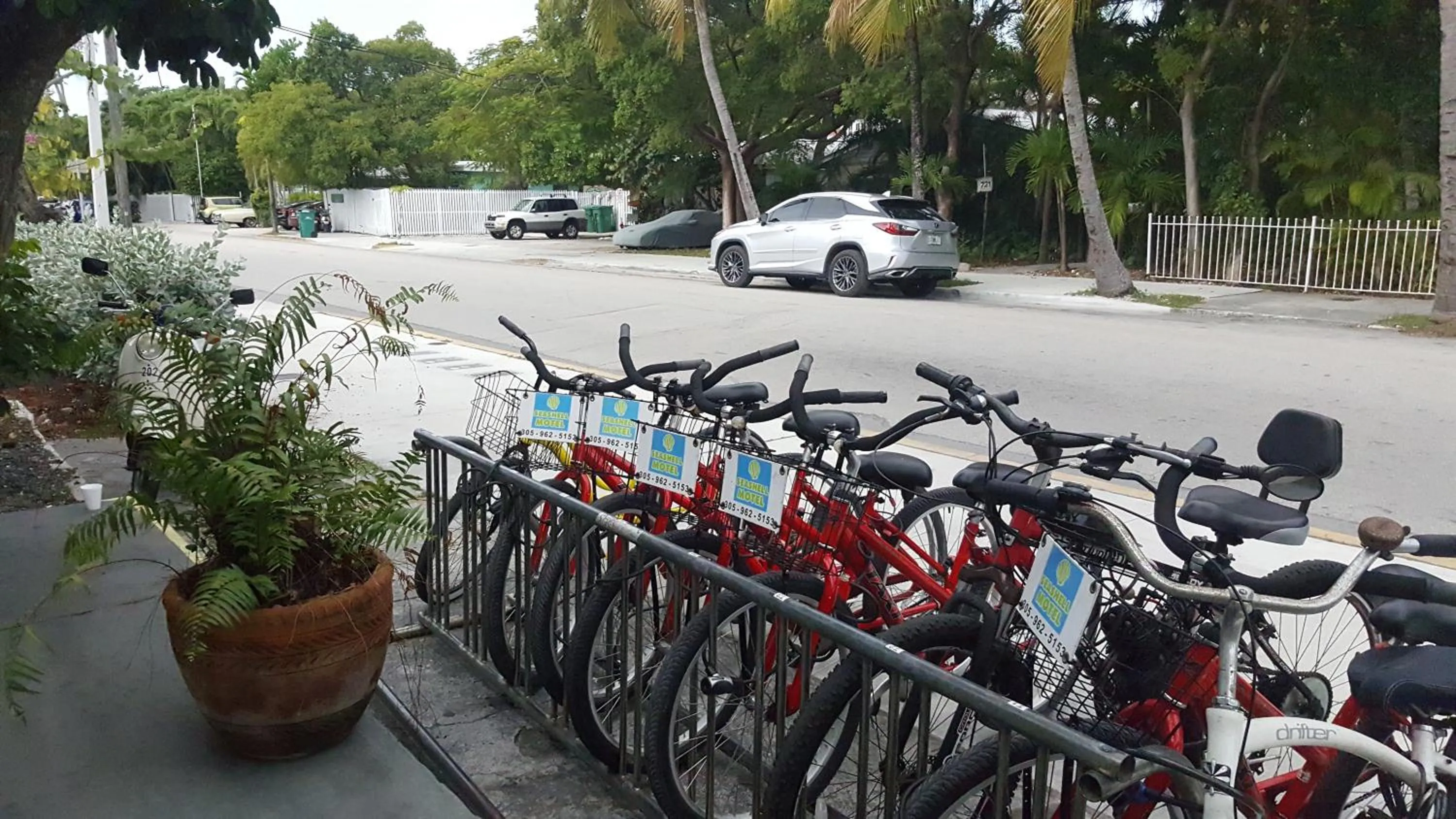 Day in Seashell Motel