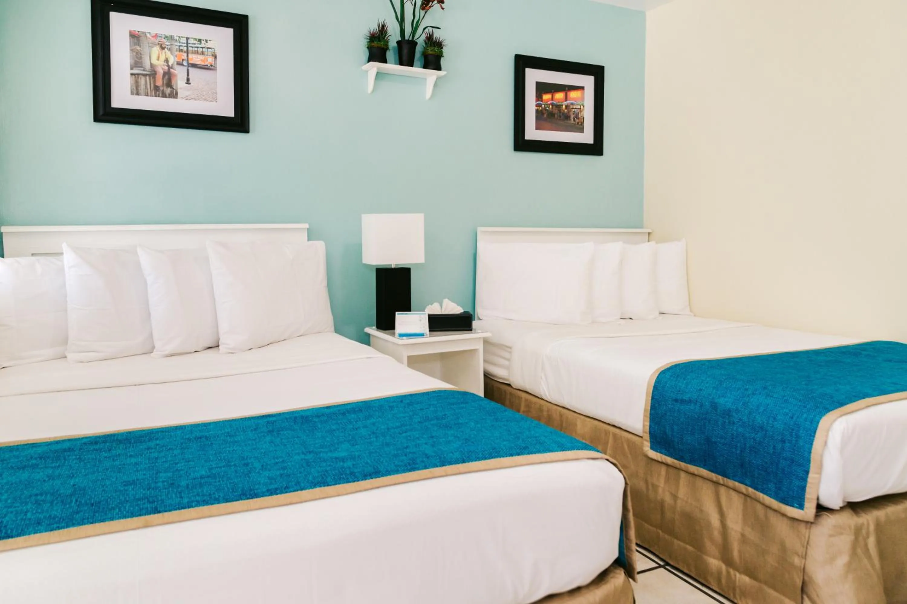 Bed in Seashell Motel