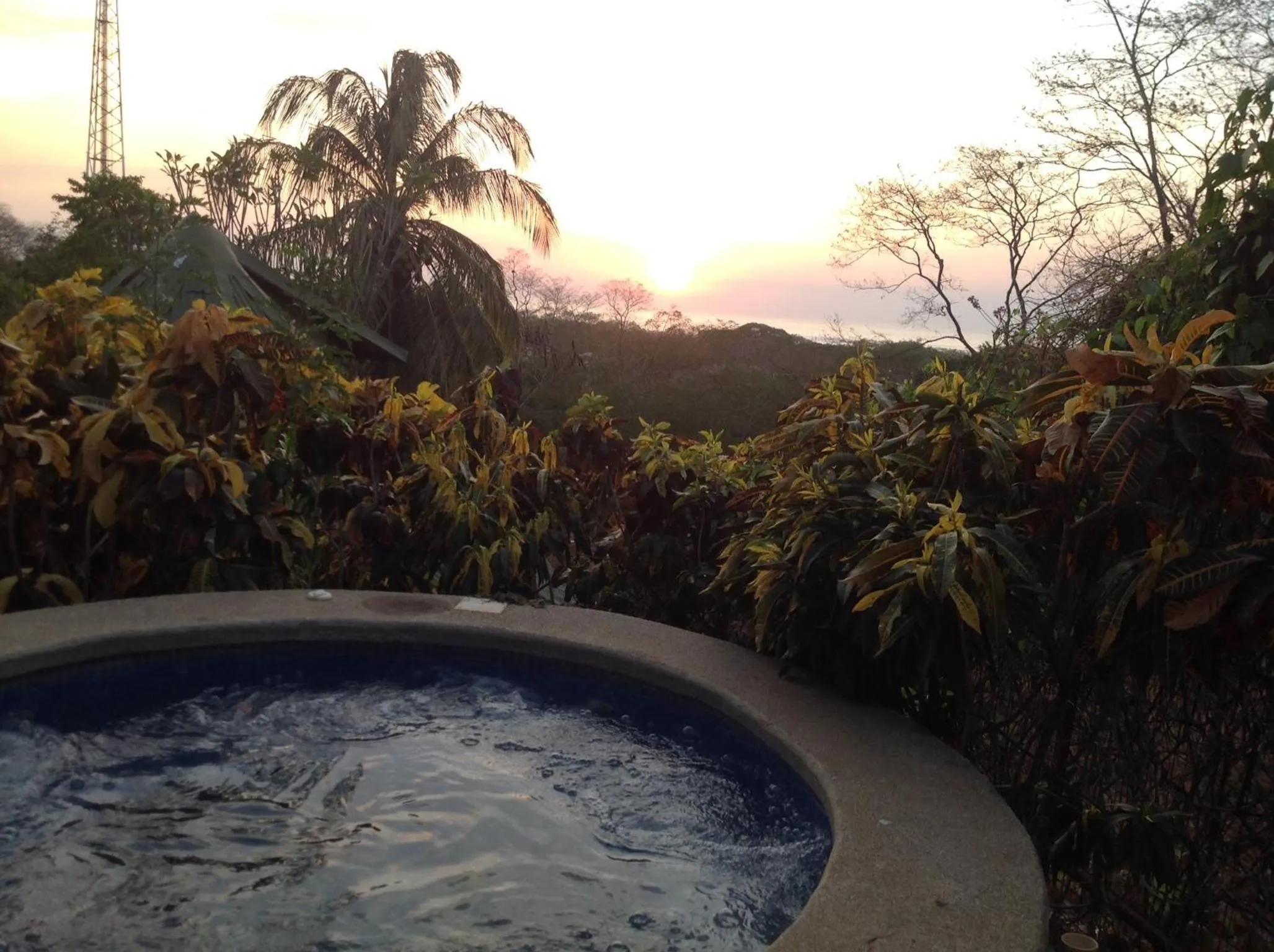 Garden in Tamarindo Village Hotel