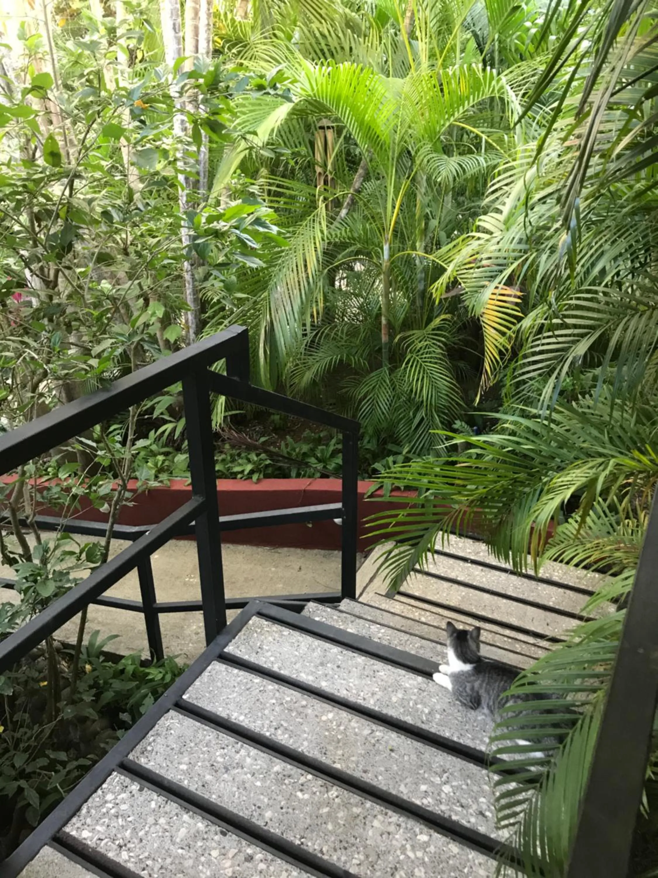 Tamarindo Village Hotel