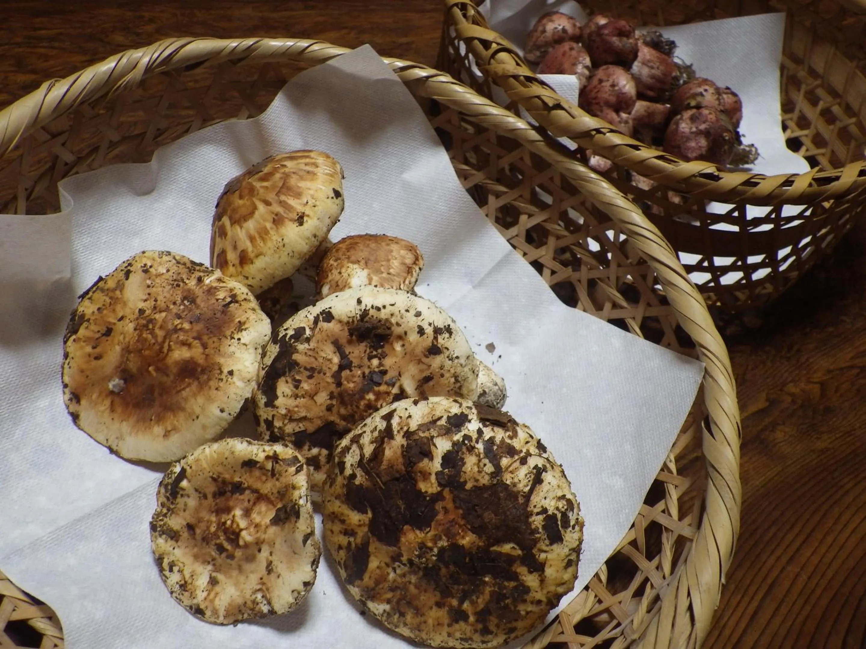 Food in Nakaya Ryokan
