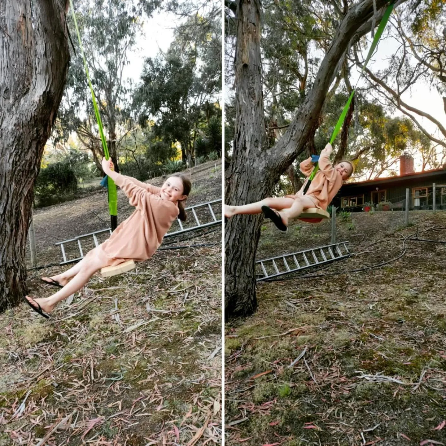 Activities in Bells Estate Great Ocean Road Cottages